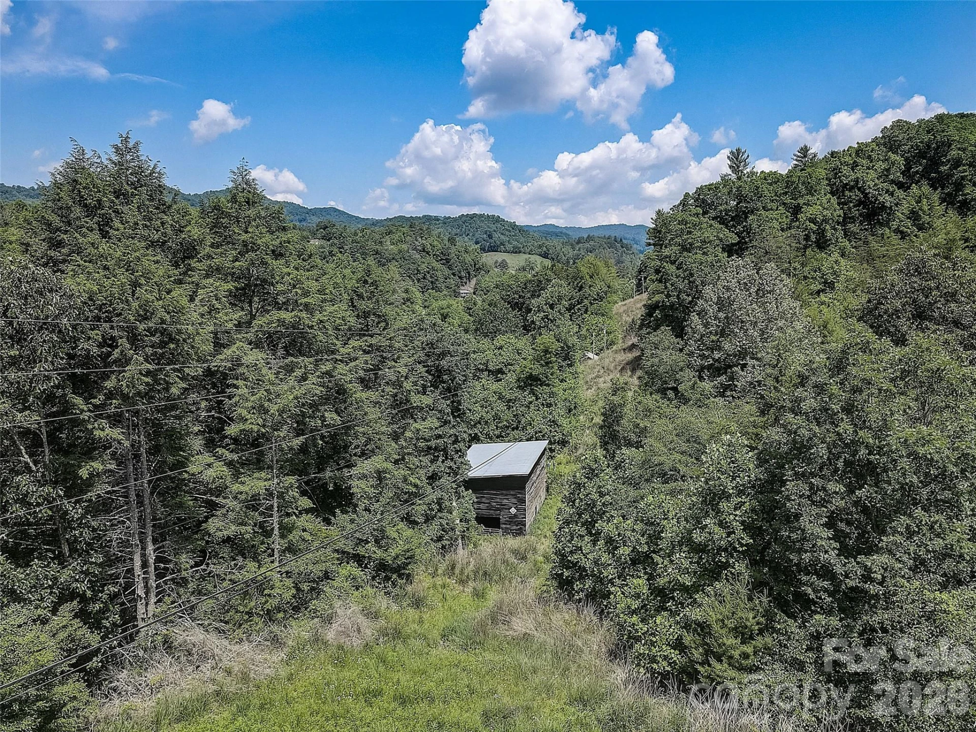 1820 Grapevine Road - Photo 9