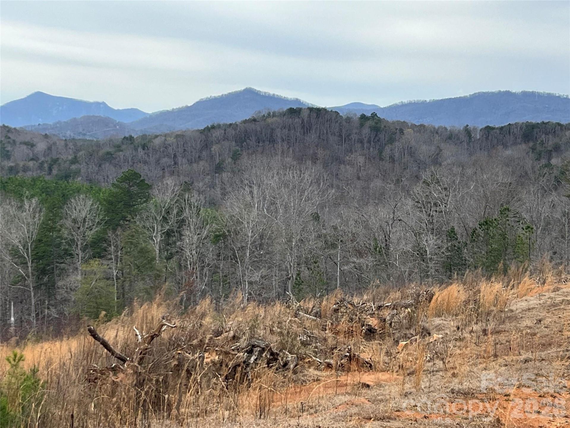 00 Shady Bark Lane #52 - Photo 11