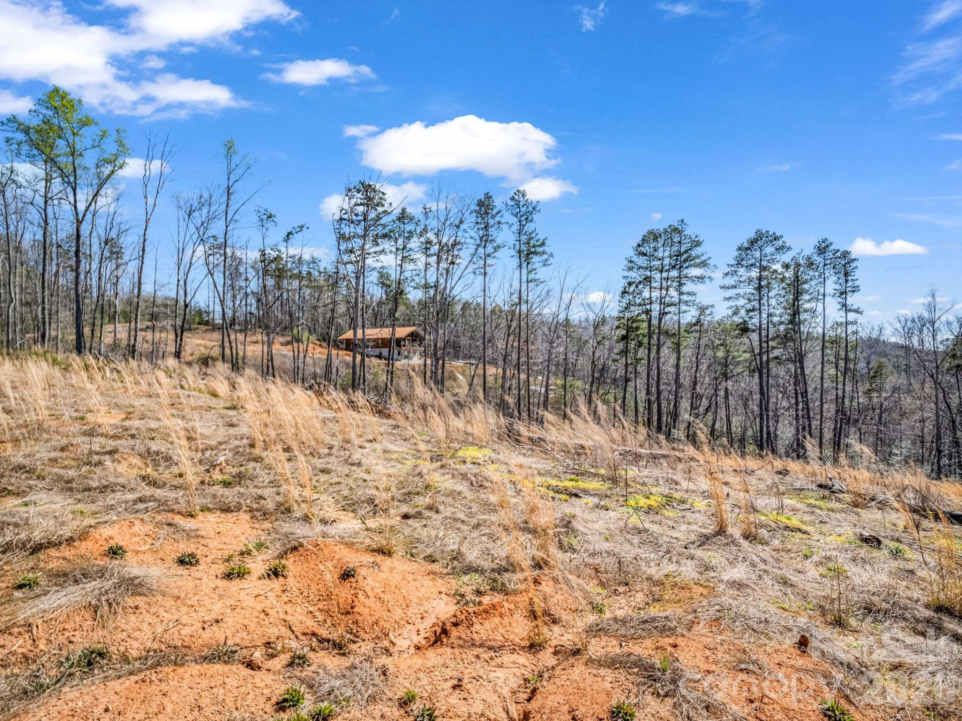 00 Shady Bark Lane #52 - Photo 12