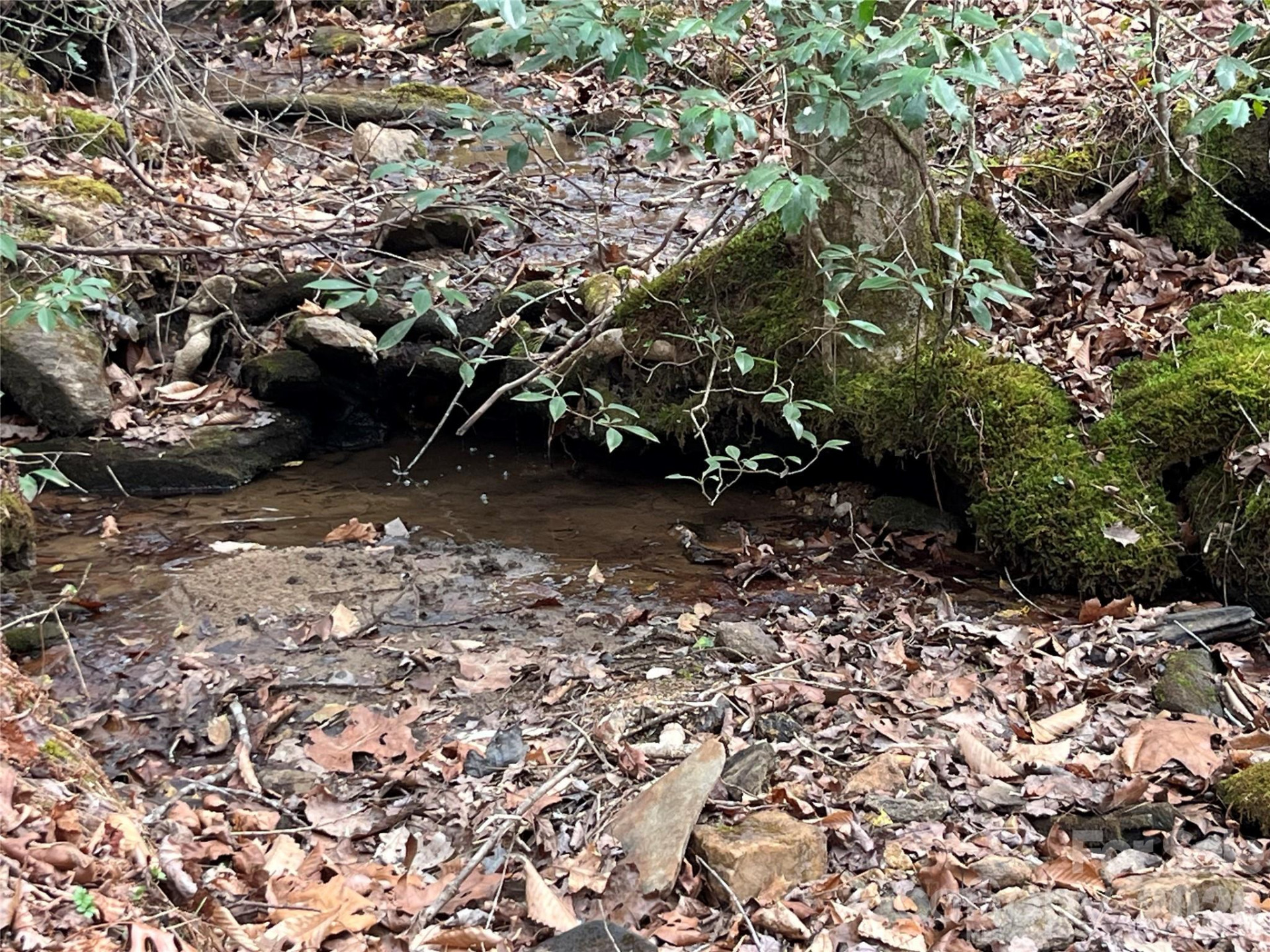 00 Shady Bark Lane #52 - Photo 14