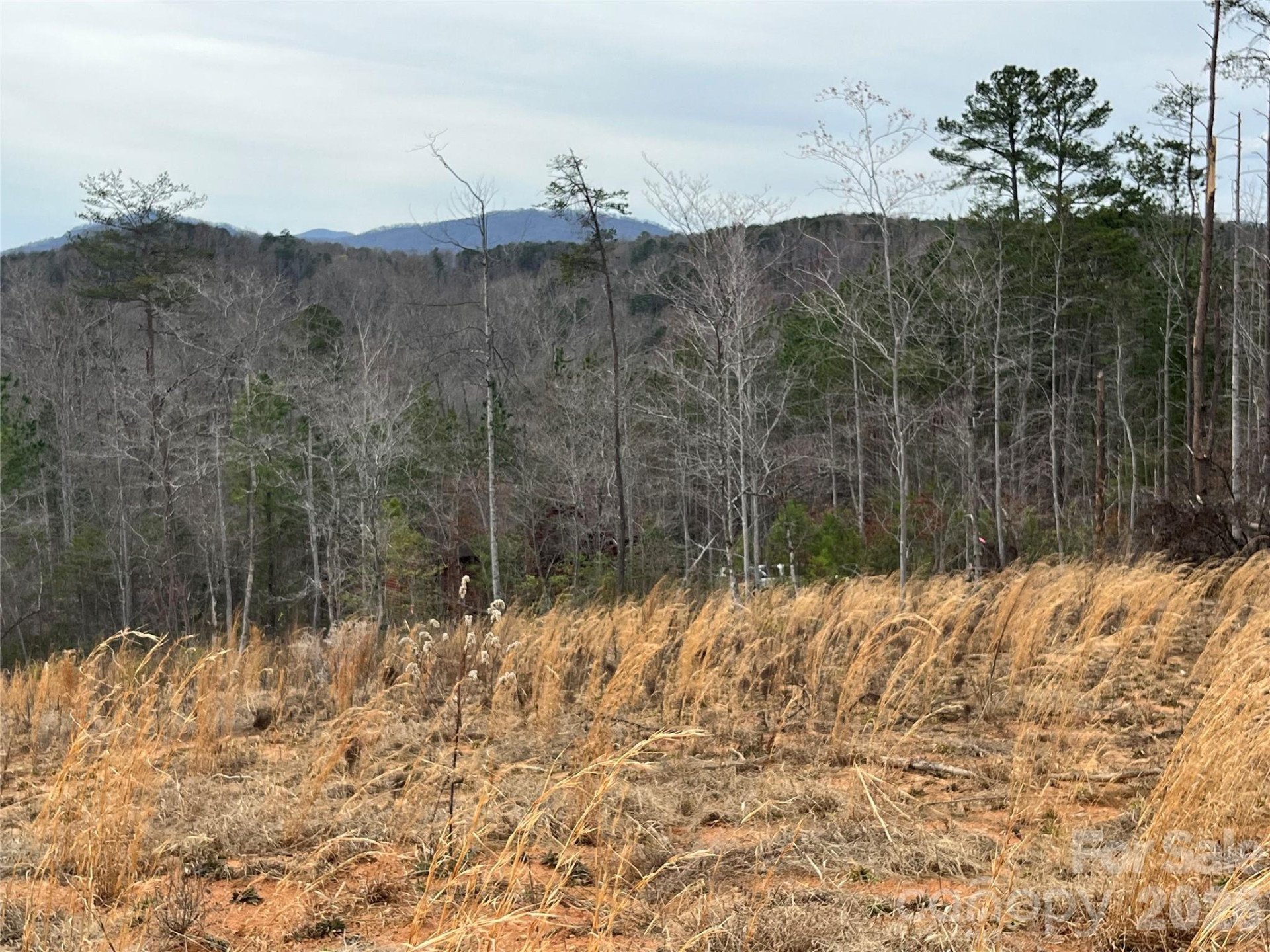 00 Shady Bark Lane #52 - Photo 16