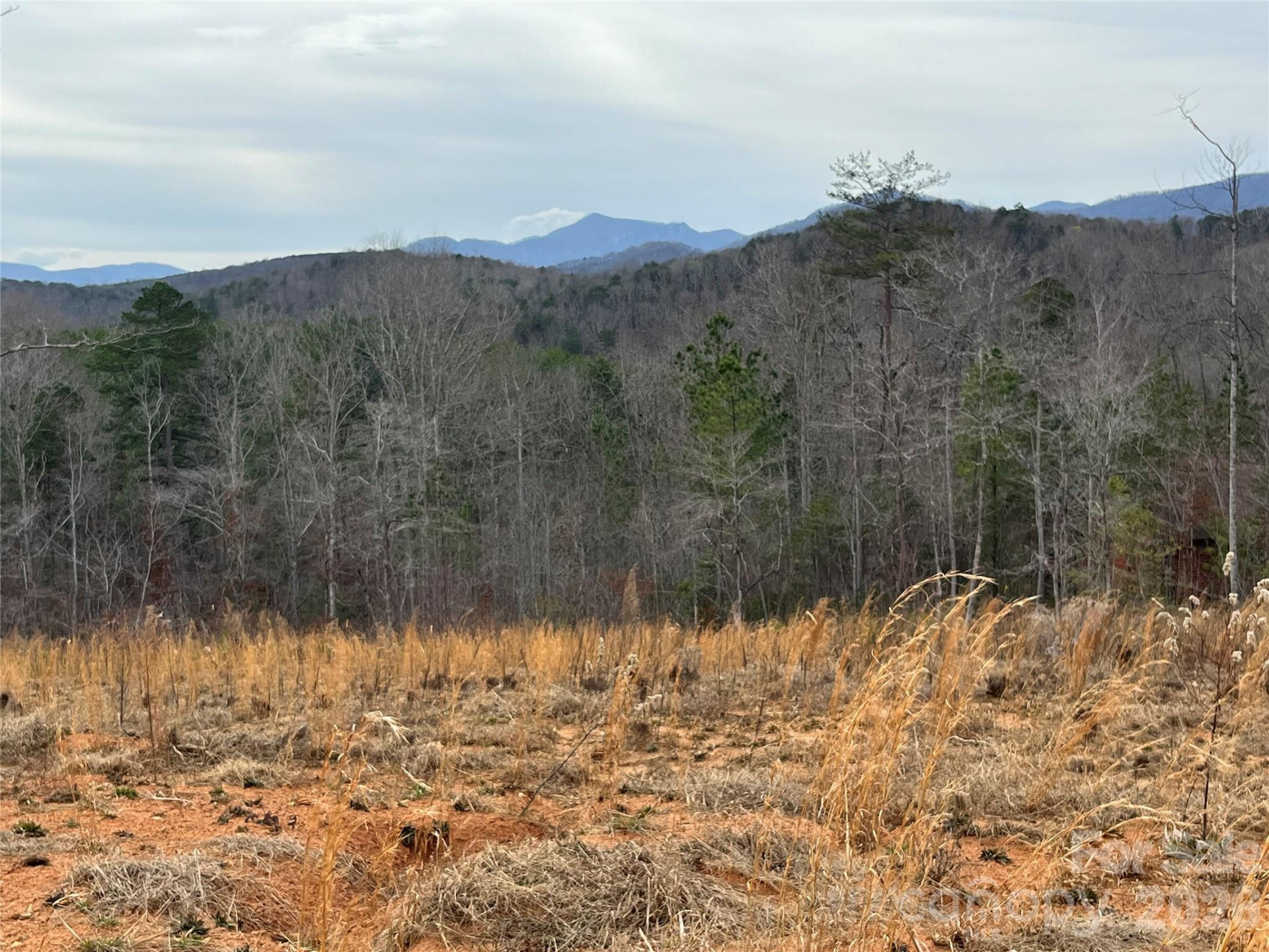 00 Shady Bark Lane #52 - Photo 17