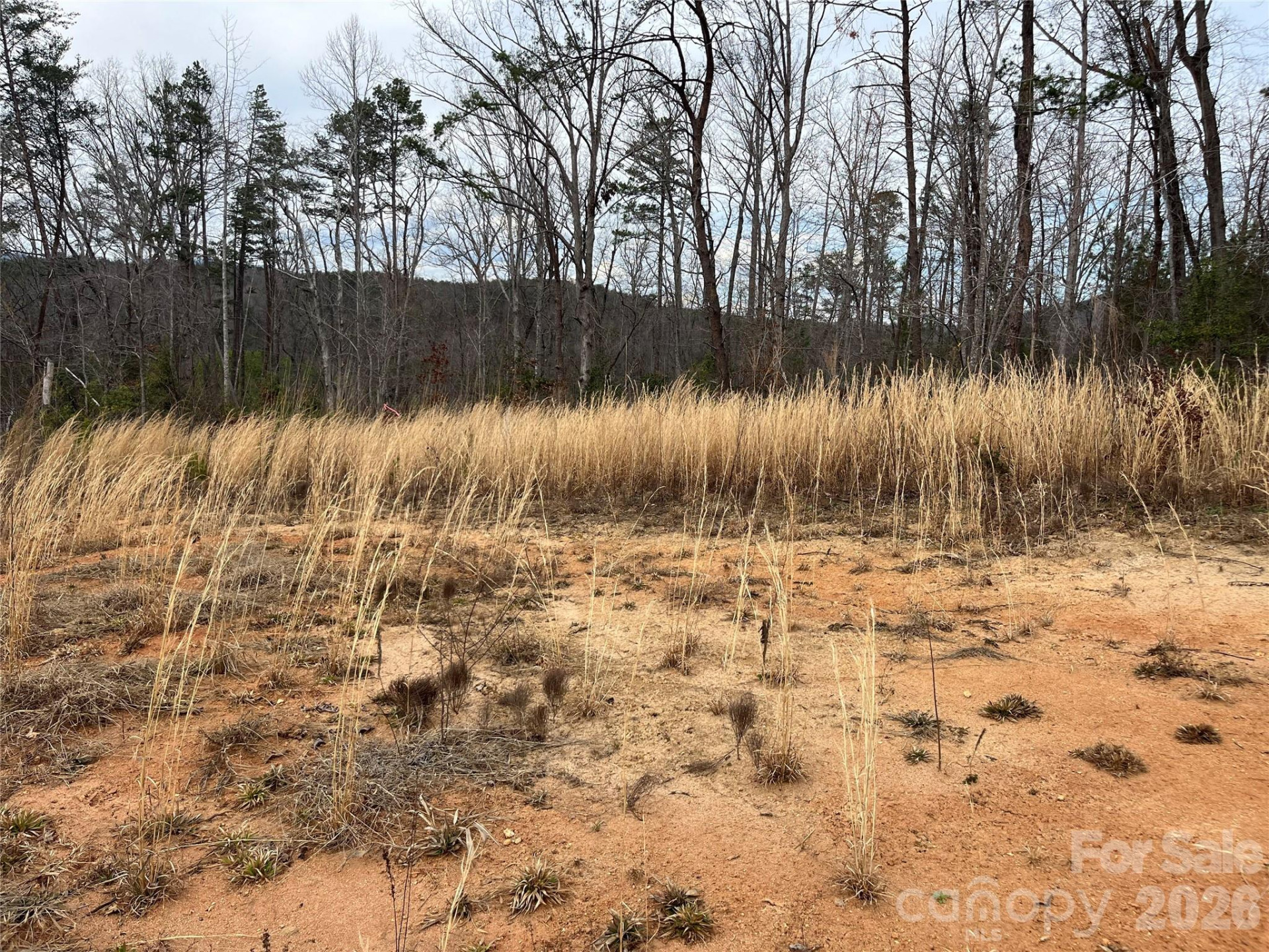 00 Shady Bark Lane #52 - Photo 19