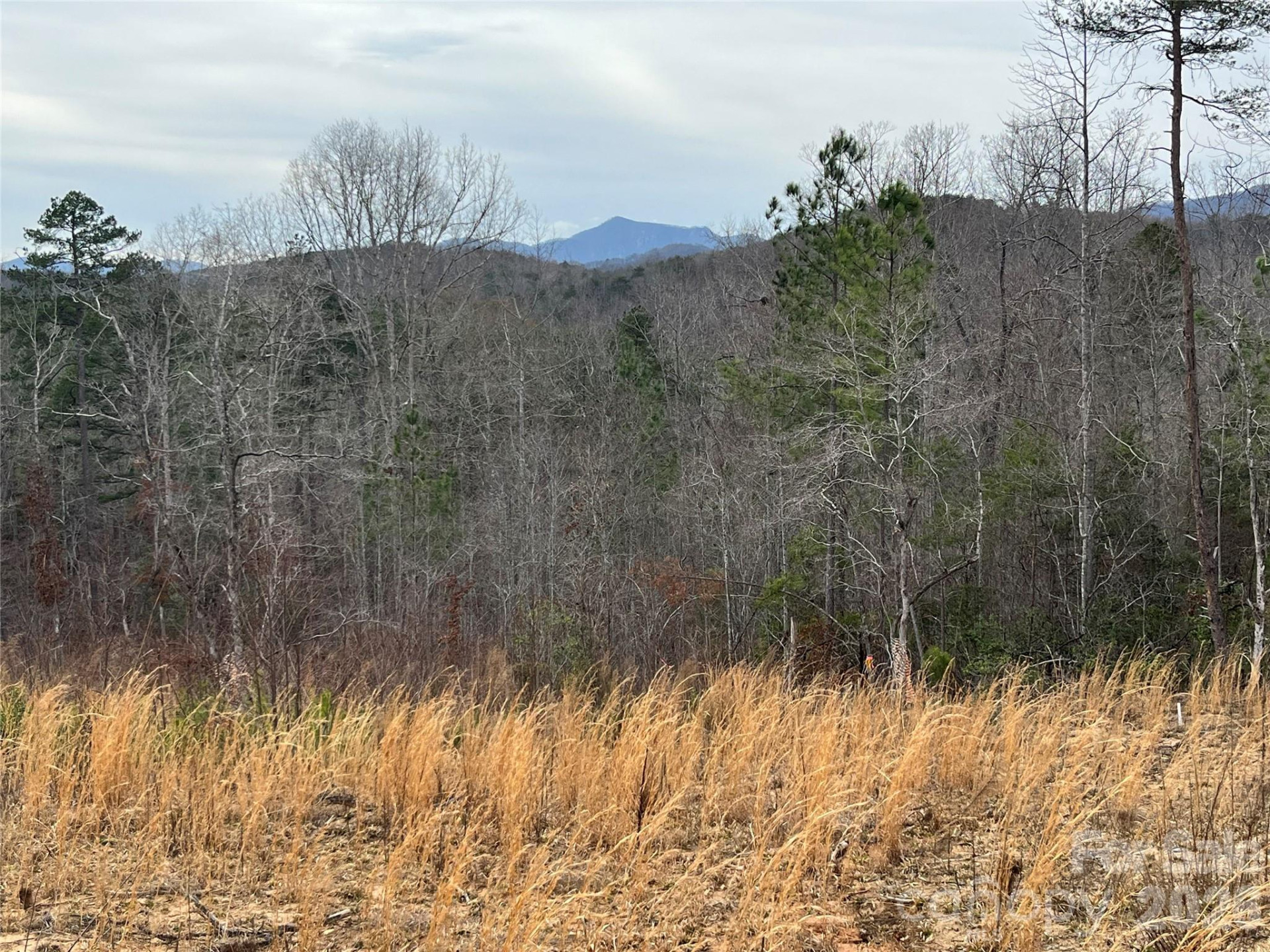 00 Shady Bark Lane #52 - Photo 20