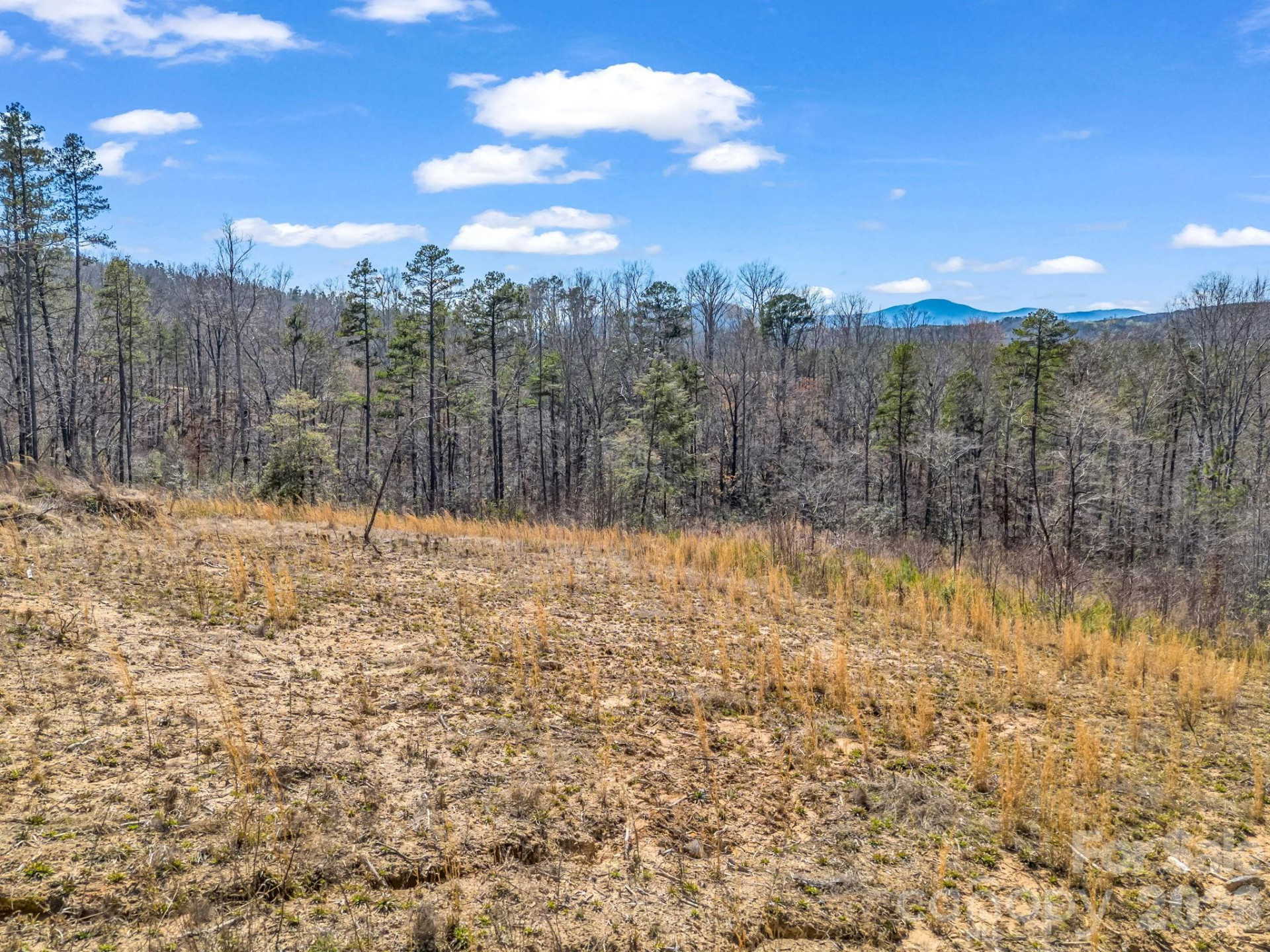 00 Shady Bark Lane #52 - Photo 3