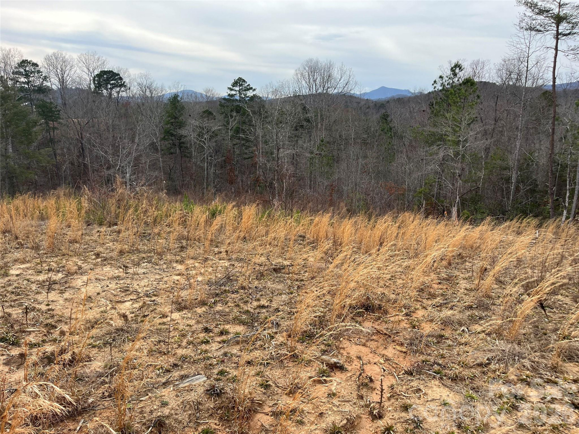 00 Shady Bark Lane #52 - Photo 21