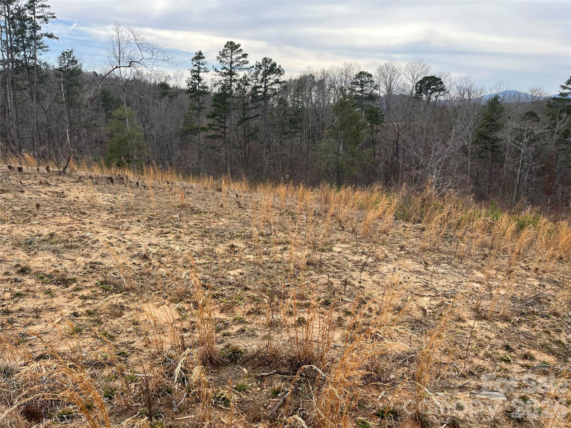 00 Shady Bark Lane #52 - Photo 22