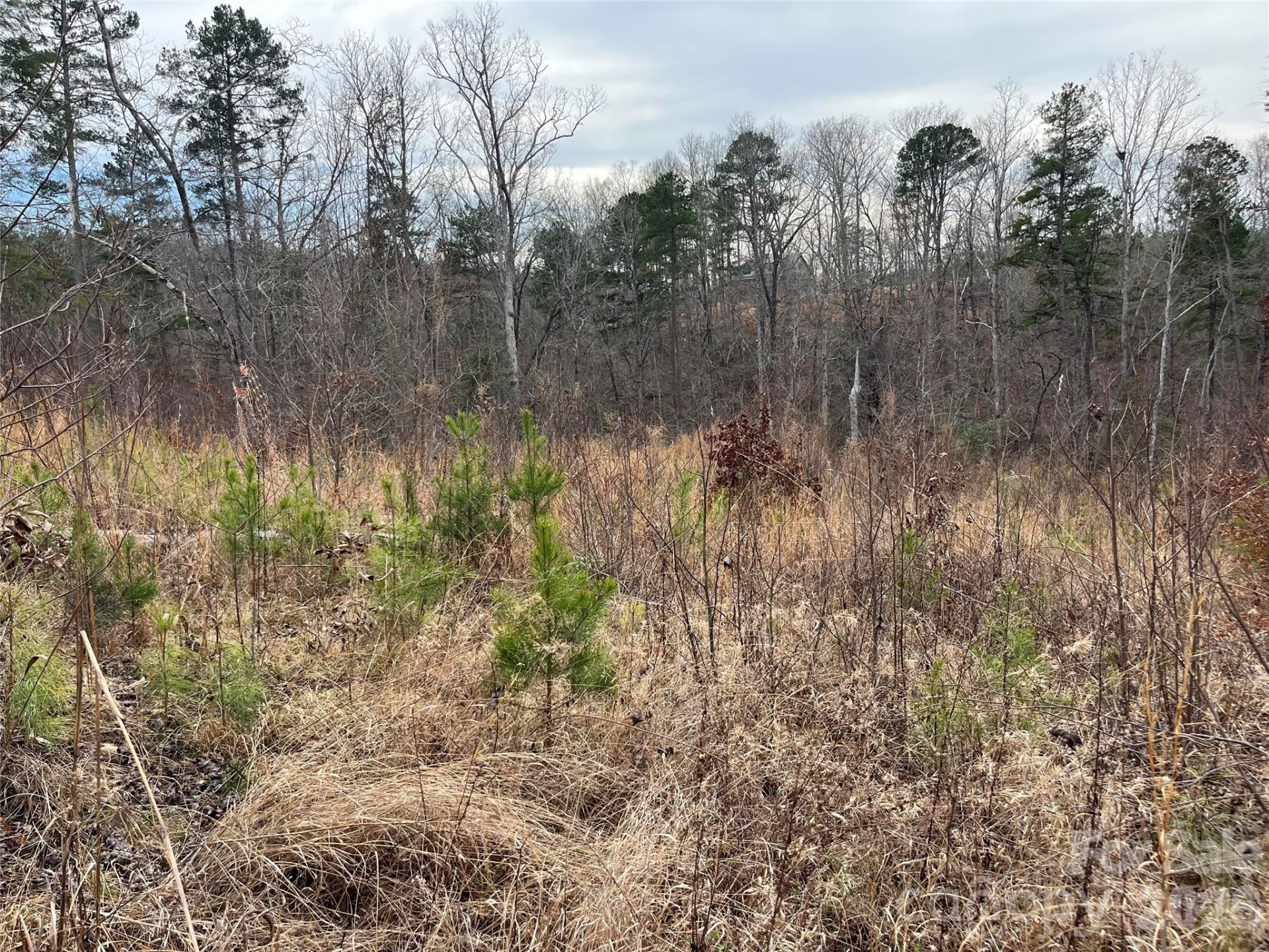 00 Shady Bark Lane #52 - Photo 23