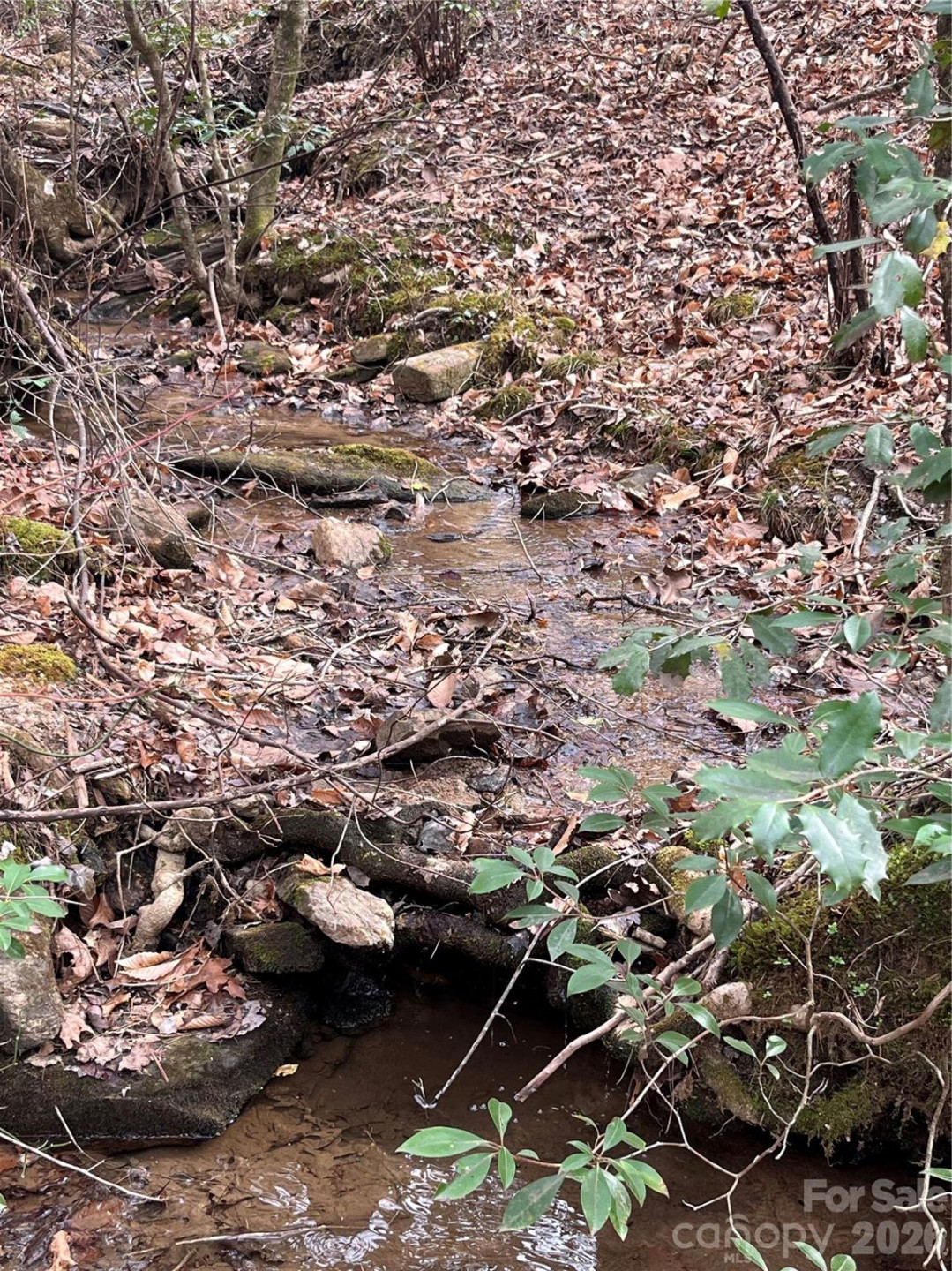 00 Shady Bark Lane #52 - Photo 24