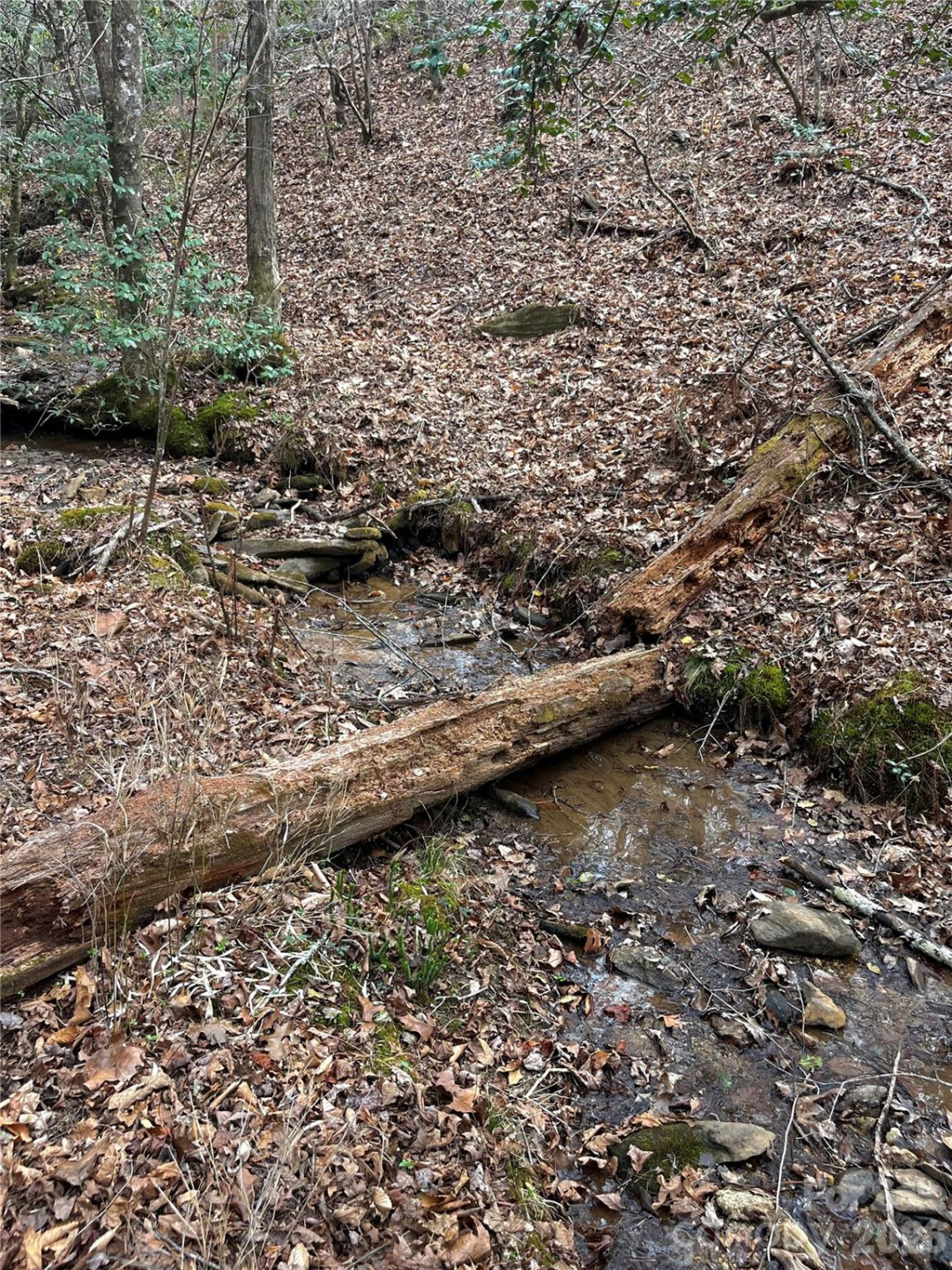 00 Shady Bark Lane #52 - Photo 26