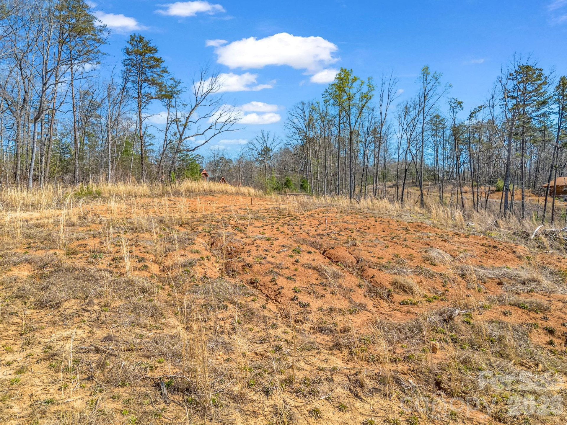 00 Shady Bark Lane #52 - Photo 4