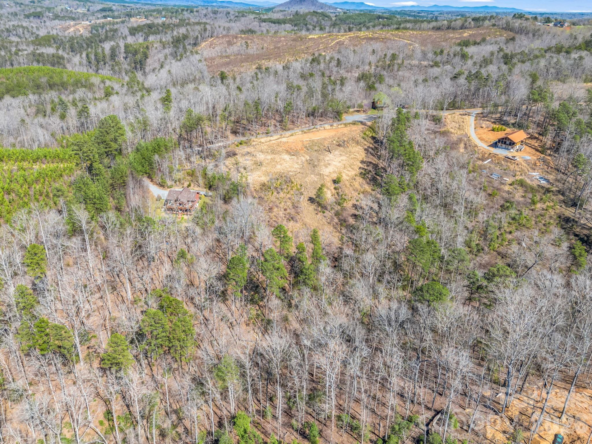 00 Shady Bark Lane #52 - Photo 32