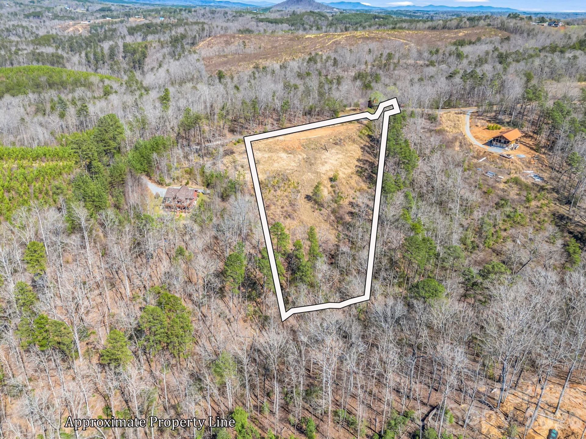 00 Shady Bark Lane #52 - Photo 33