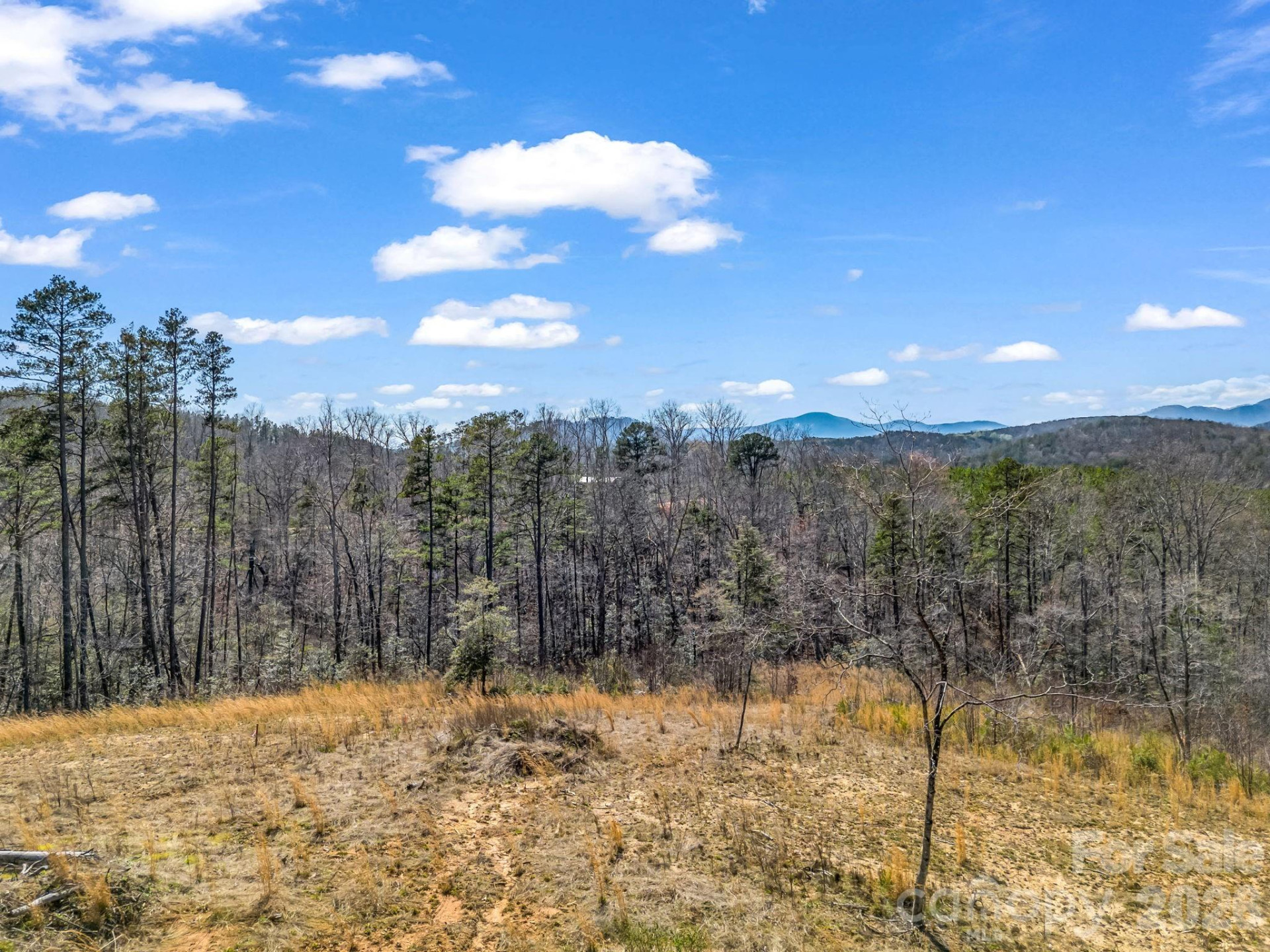 00 Shady Bark Lane #52 - Photo 5