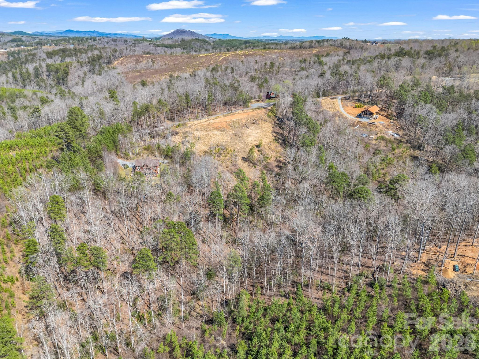 00 Shady Bark Lane #52 - Photo 43