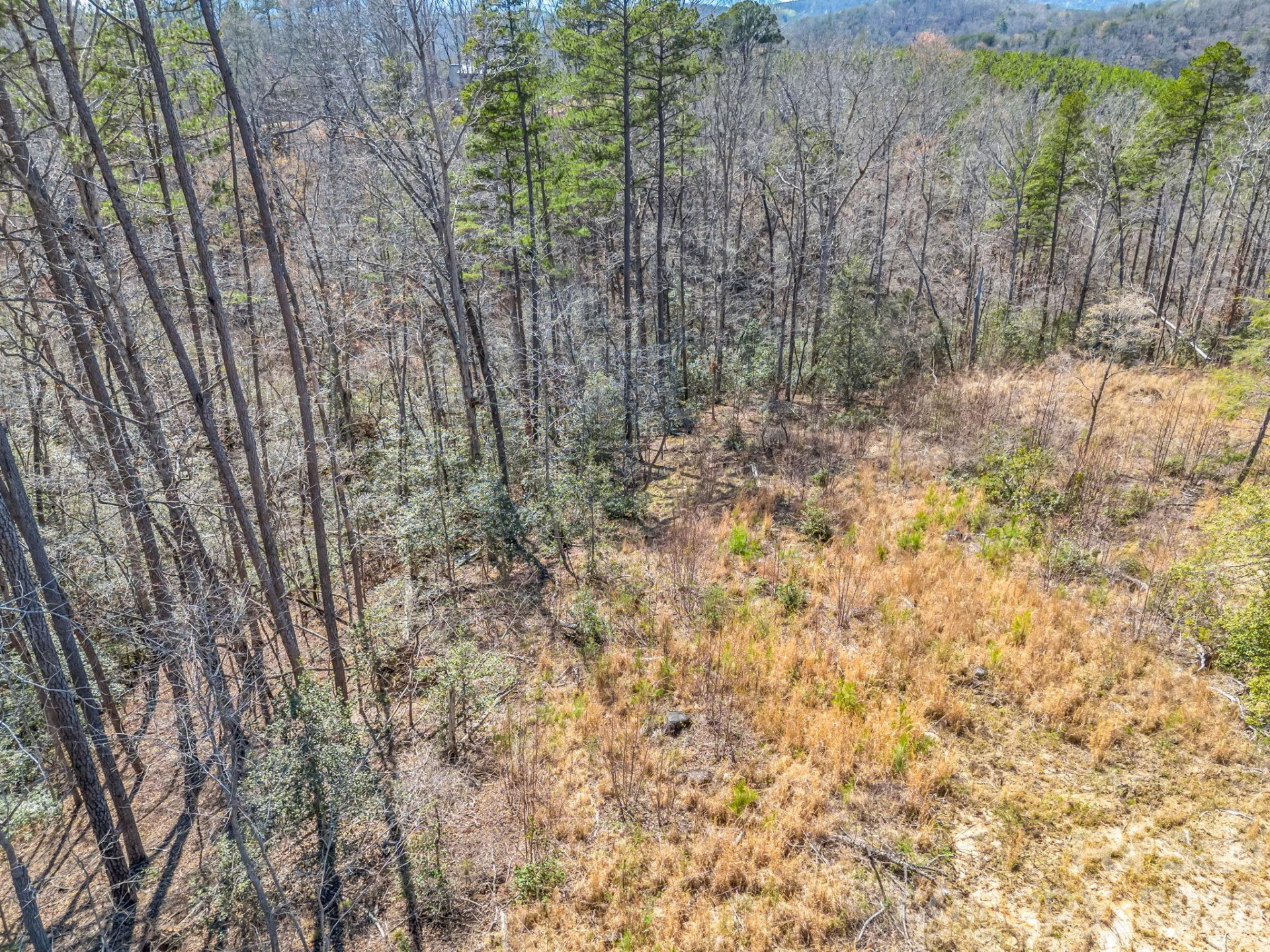 00 Shady Bark Lane #52 - Photo 45