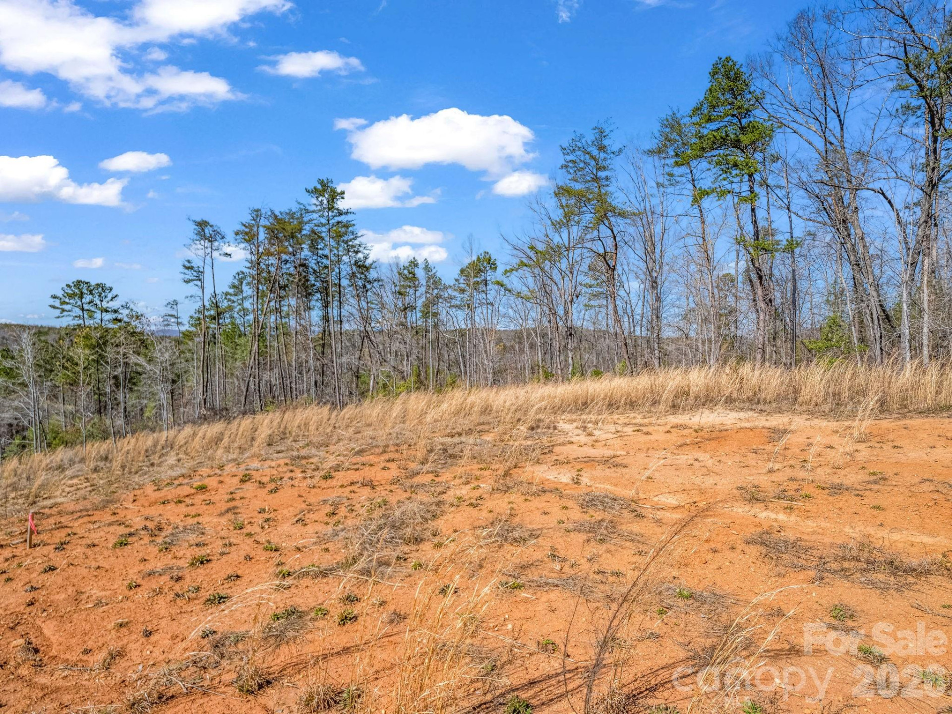 00 Shady Bark Lane #52 - Photo 6