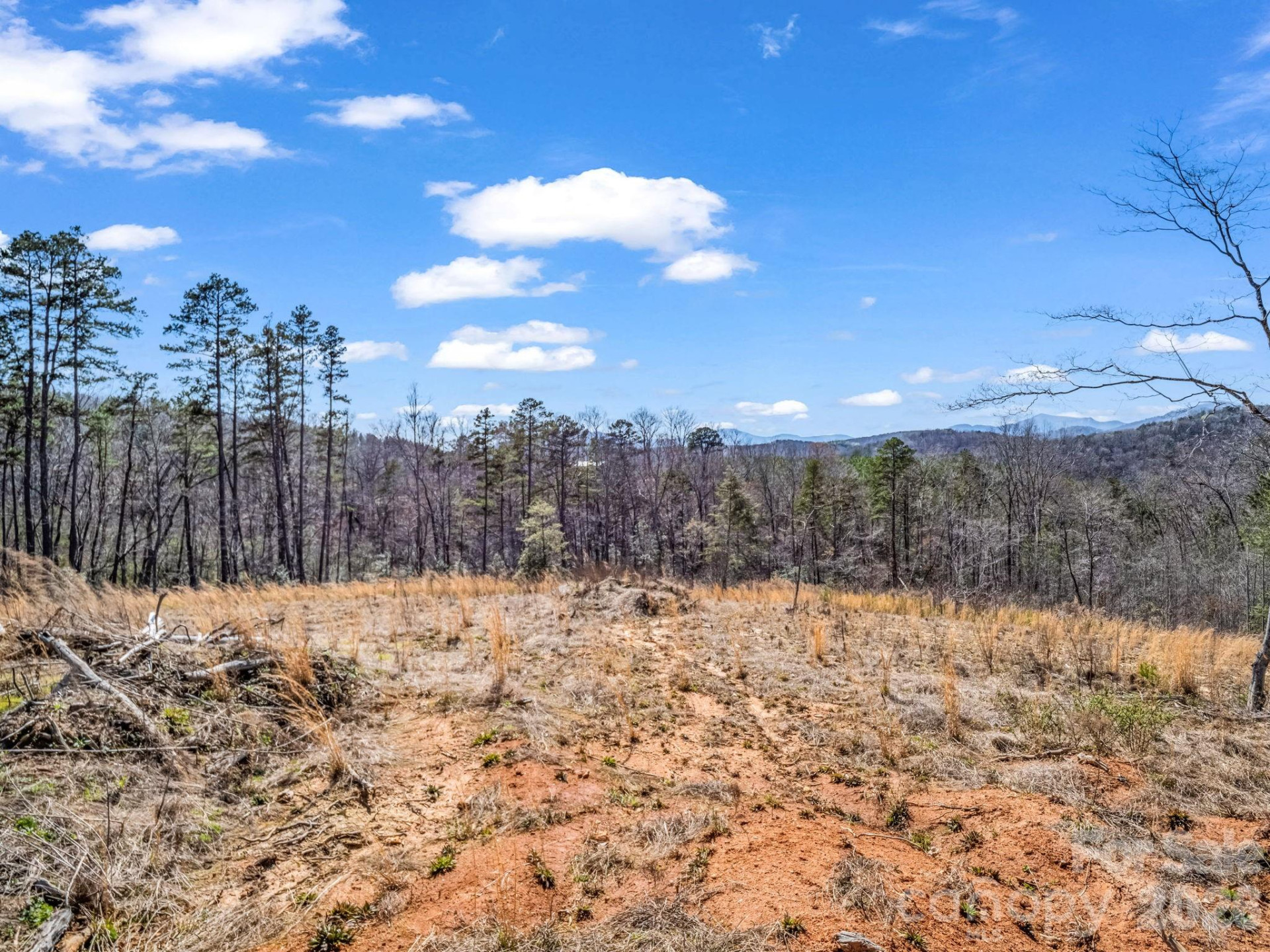 00 Shady Bark Lane #52 - Photo 7