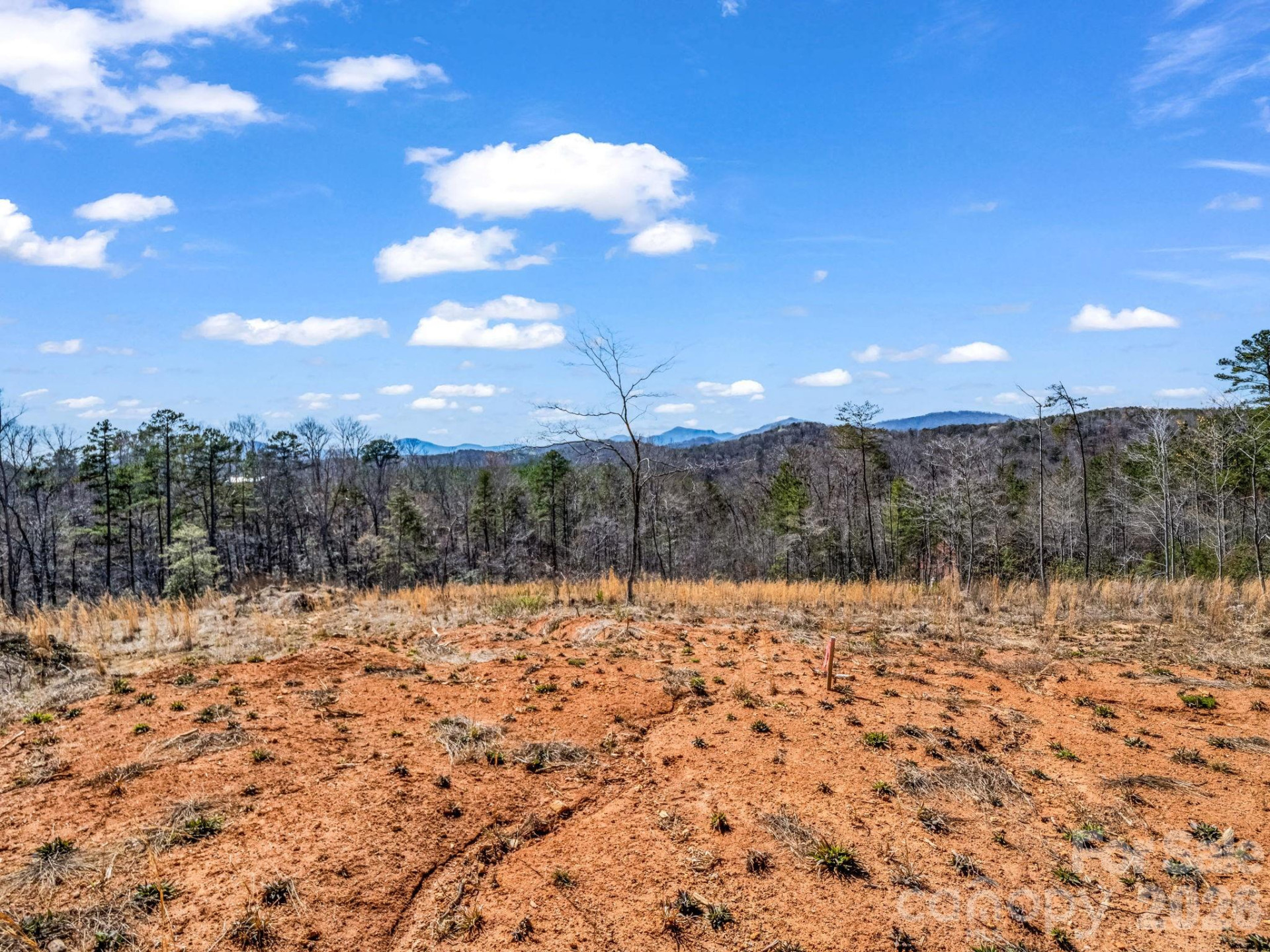 00 Shady Bark Lane #52 - Photo 9