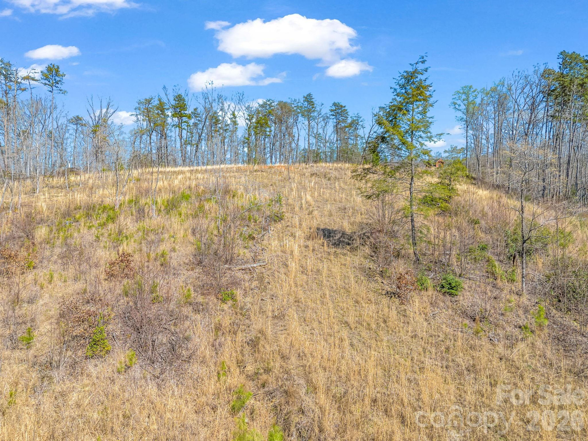 00 Shady Bark Lane #52 - Photo 10