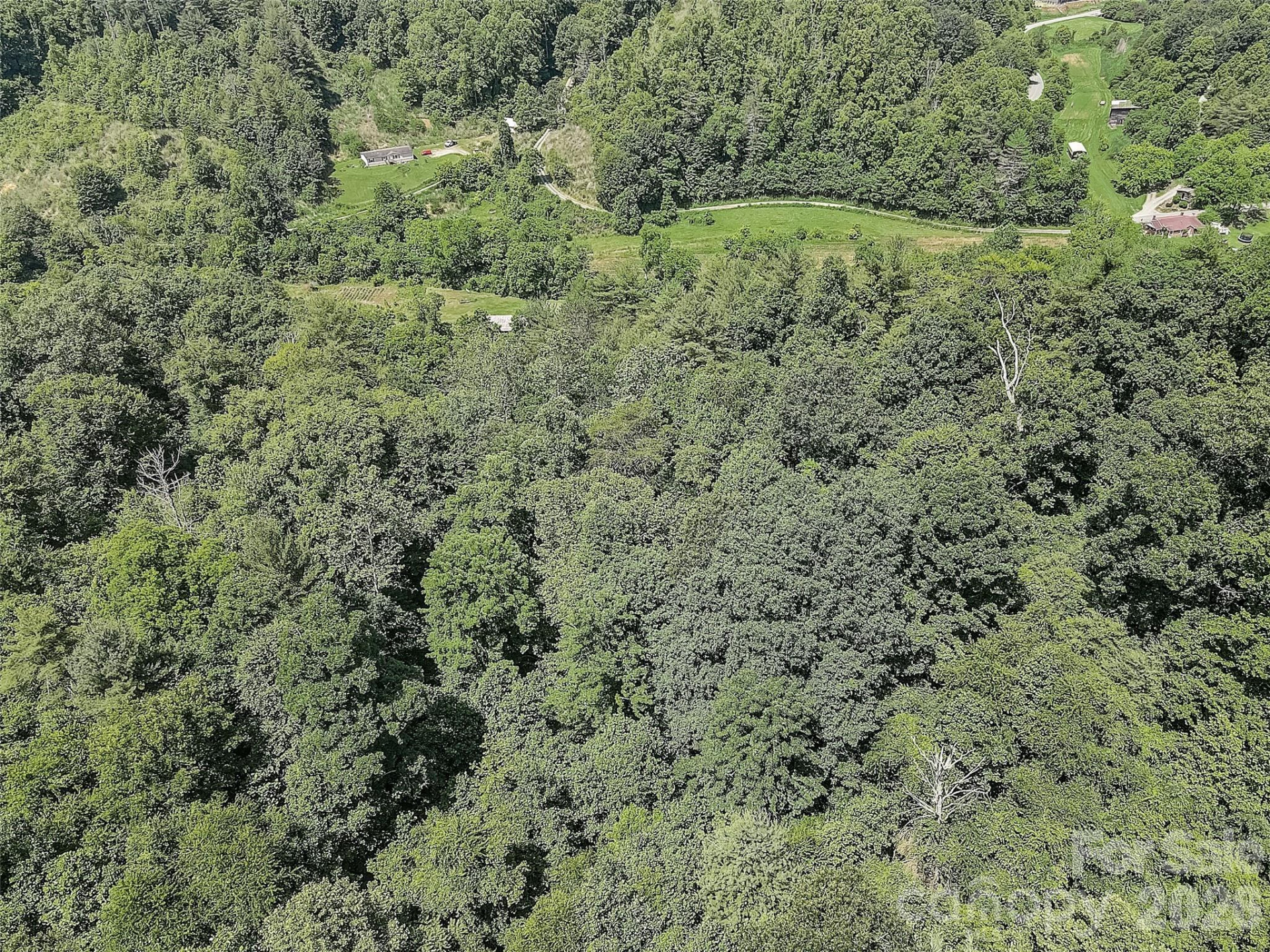 1820 Grapevine Road - Photo 2