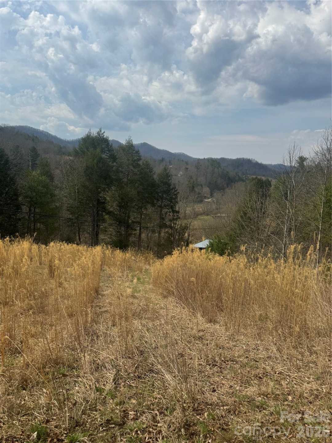 1820 Grapevine Road - Photo 16