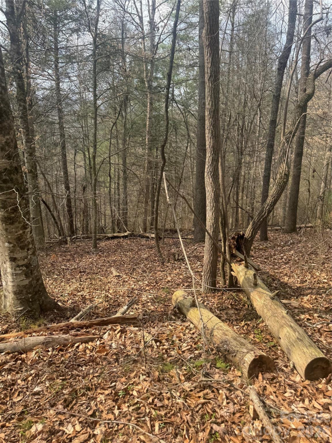 1820 Grapevine Road - Photo 18