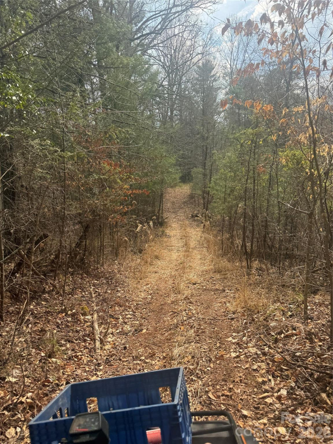 1820 Grapevine Road - Photo 20