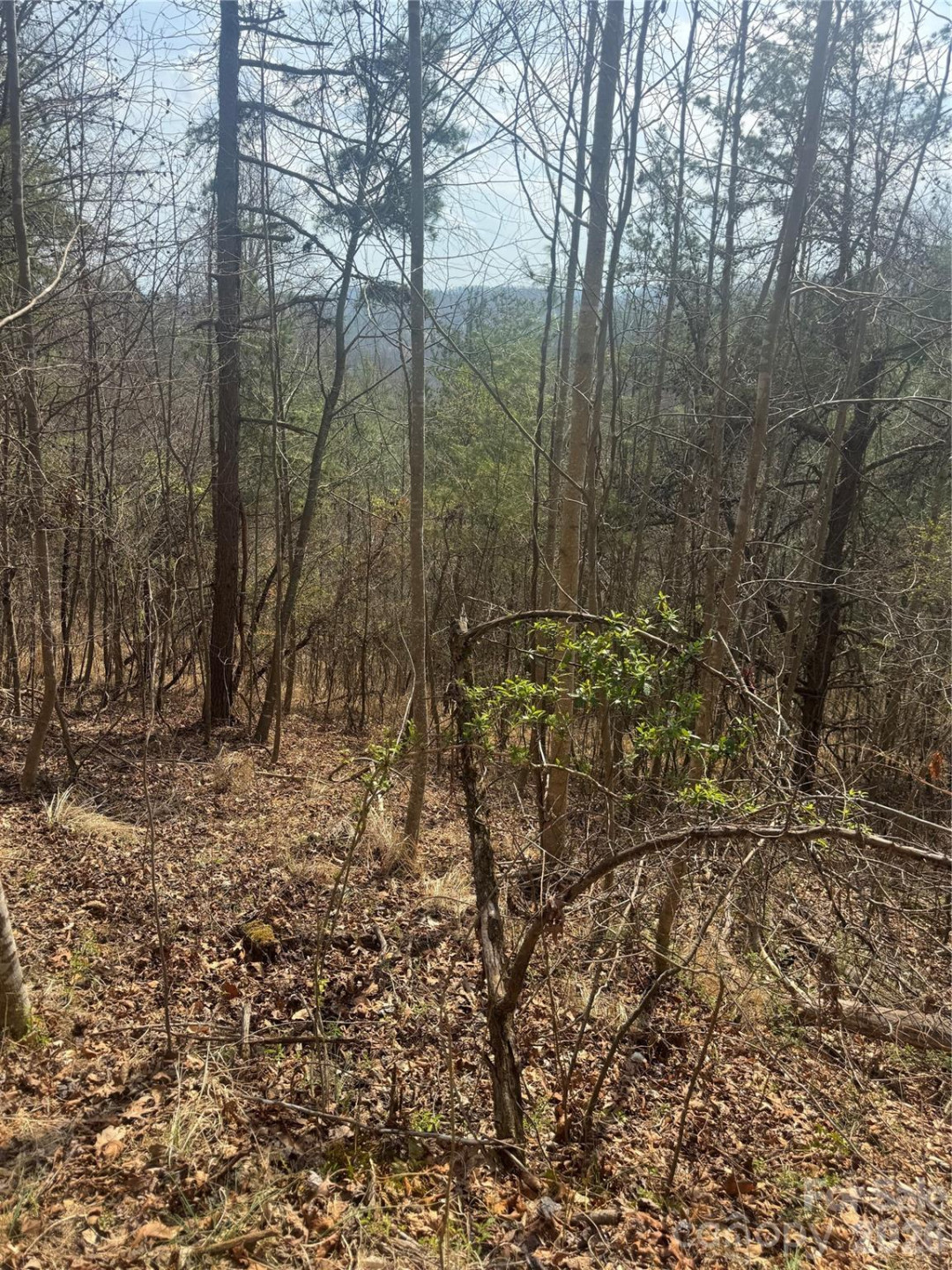 1820 Grapevine Road - Photo 22