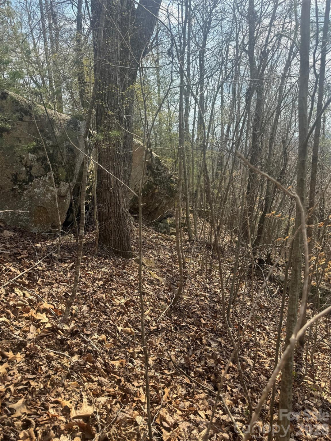 1820 Grapevine Road - Photo 26