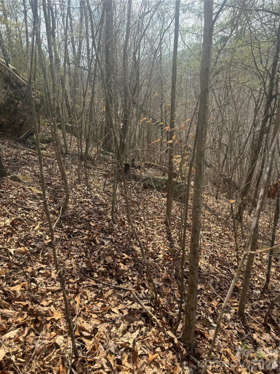 1820 Grapevine Road - Photo 27