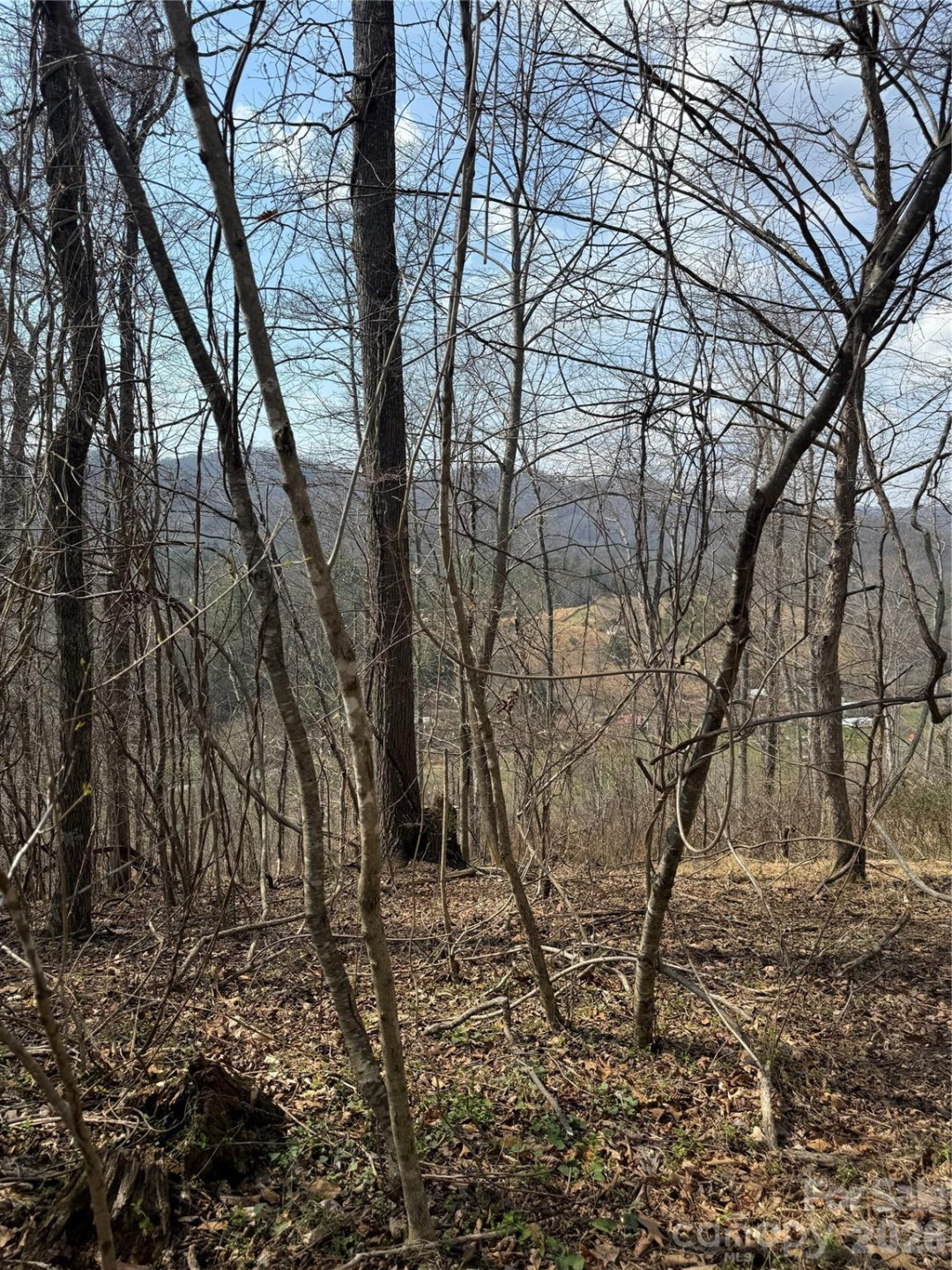 1820 Grapevine Road - Photo 28