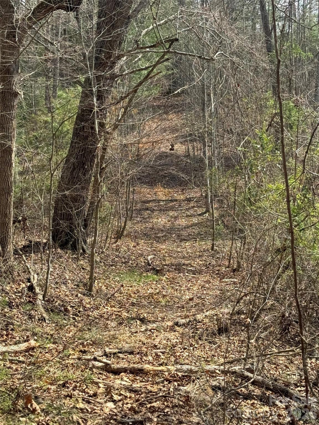 1820 Grapevine Road - Photo 30