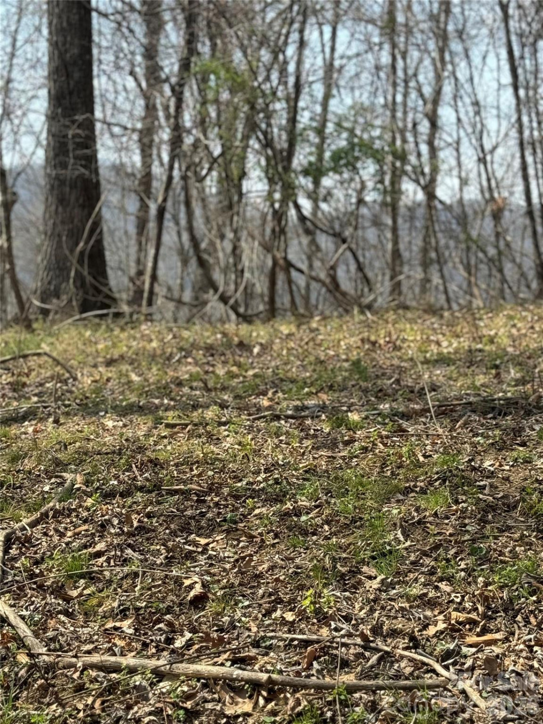 1820 Grapevine Road - Photo 31