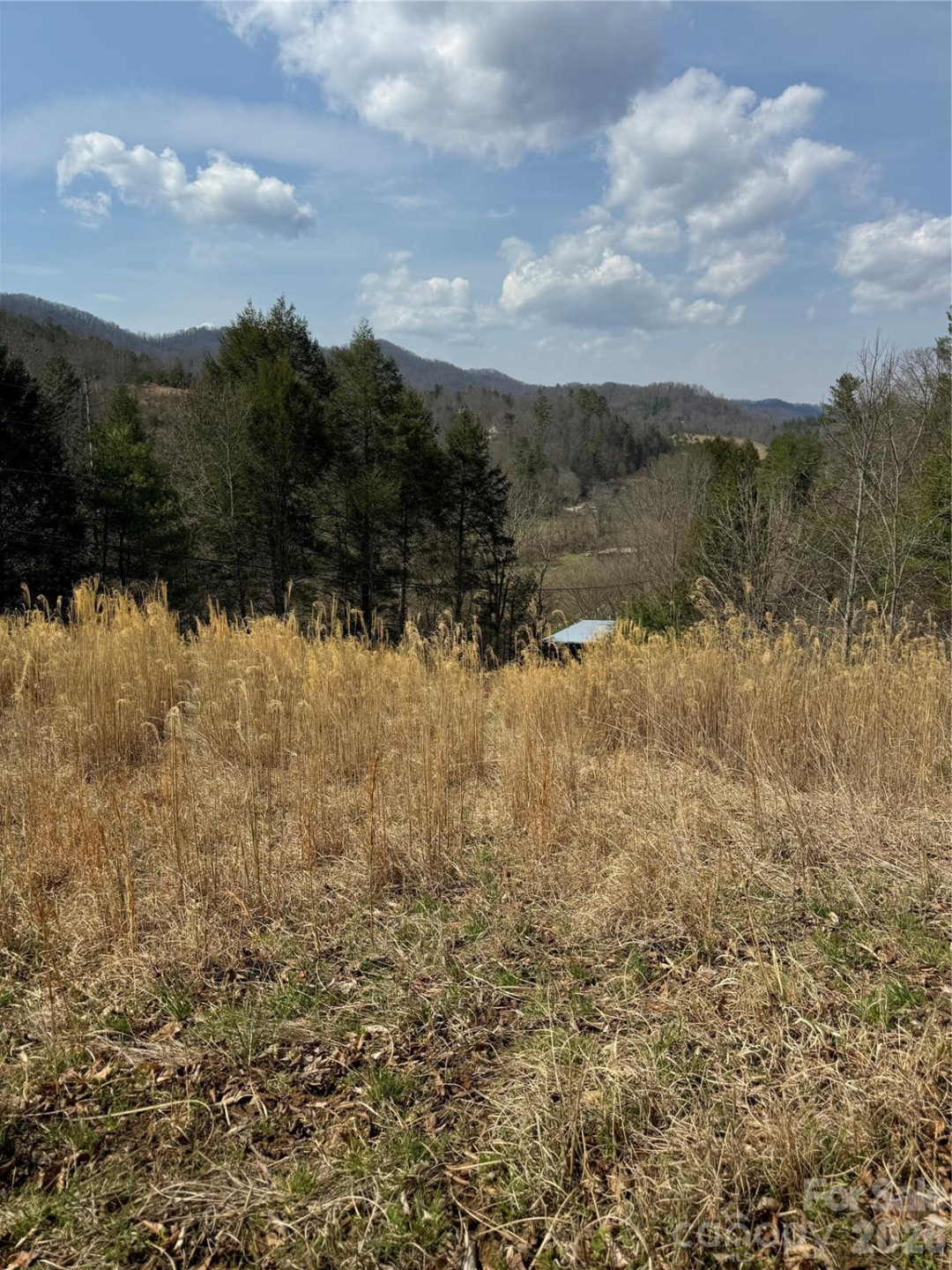 1820 Grapevine Road - Photo 34