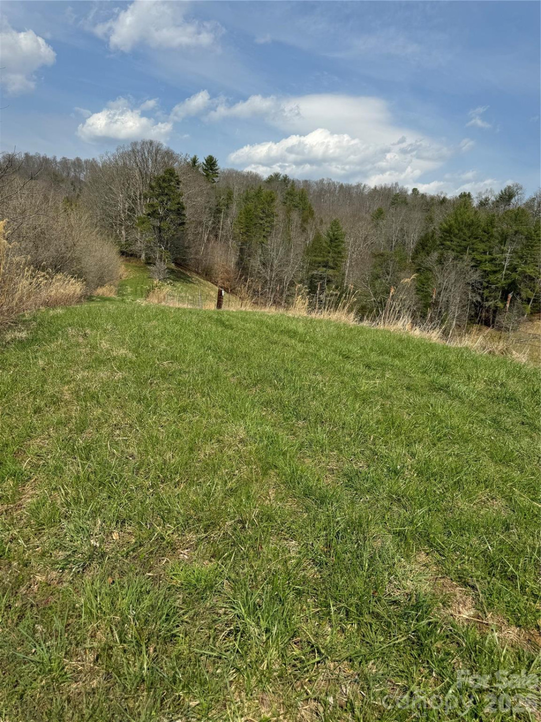 1820 Grapevine Road - Photo 35