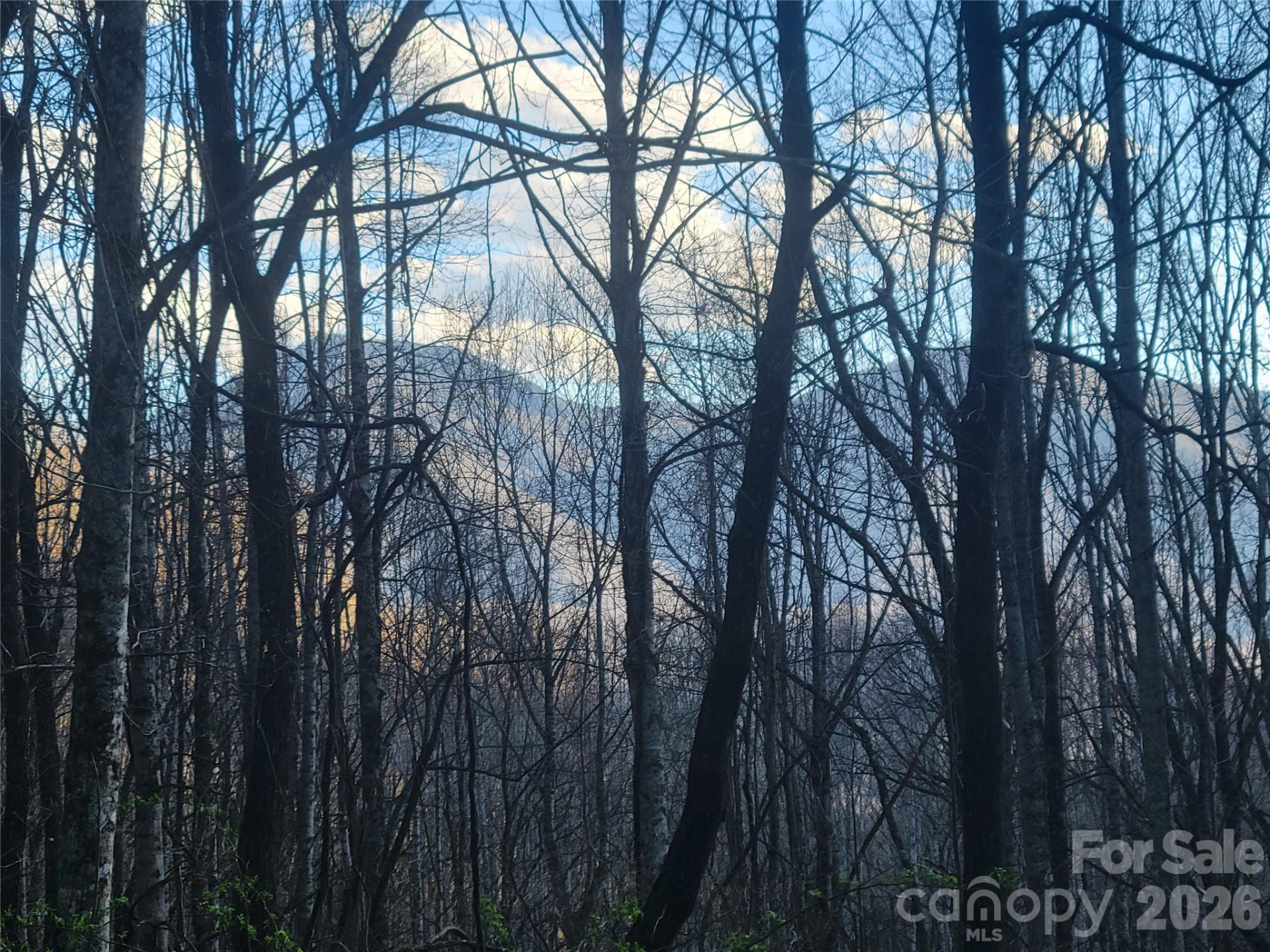 00 Rosewood Lane #11 - Photo 11