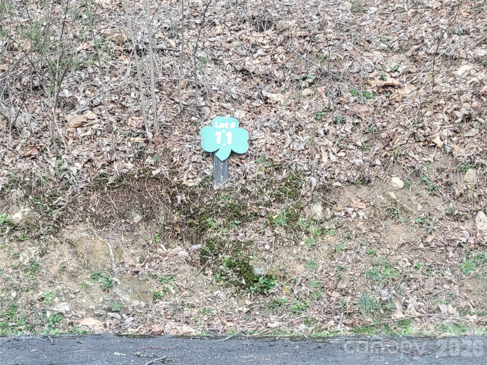 00 Rosewood Lane #11 - Photo 7