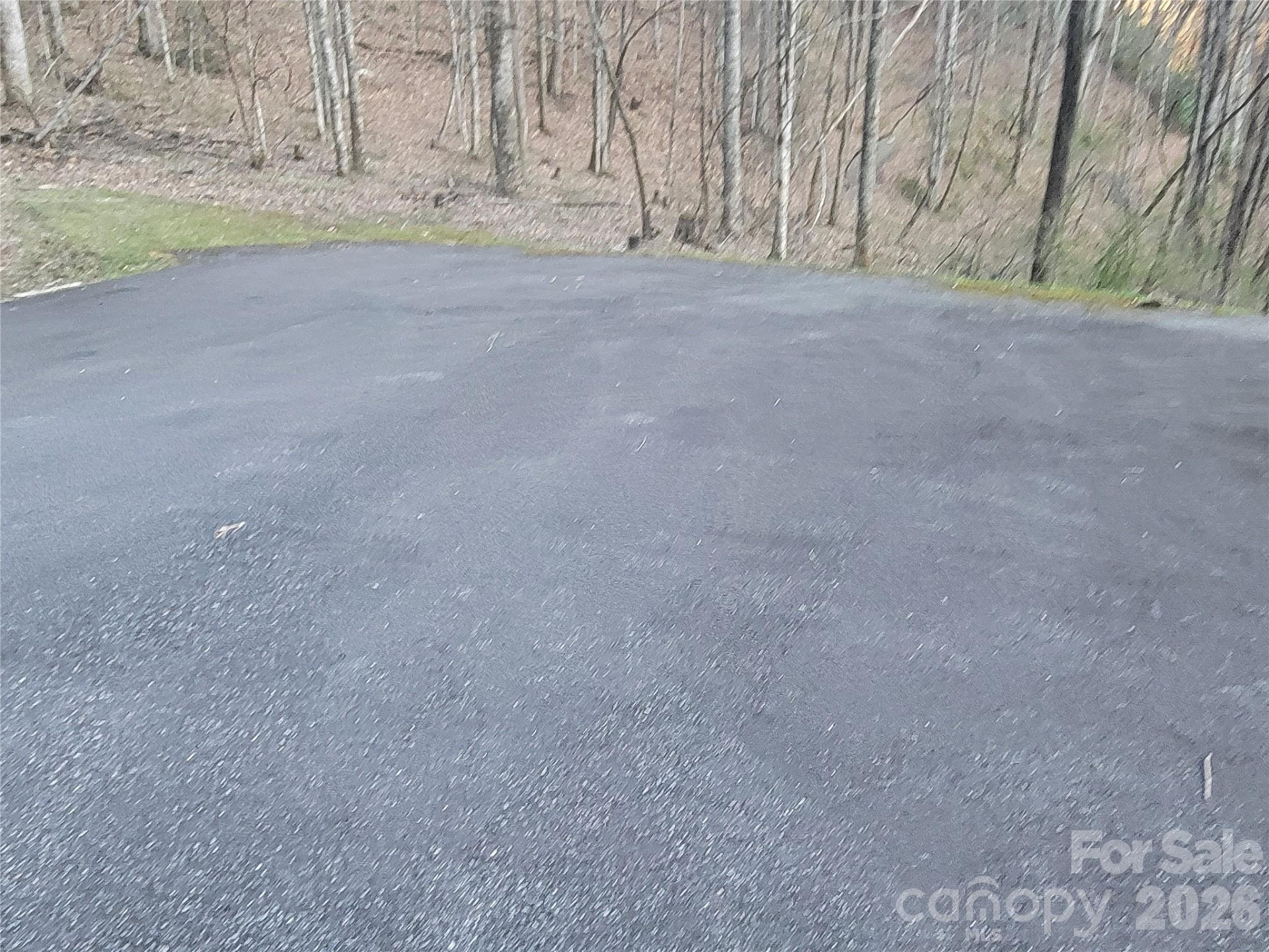 00 Rosewood Lane #11 - Photo 8