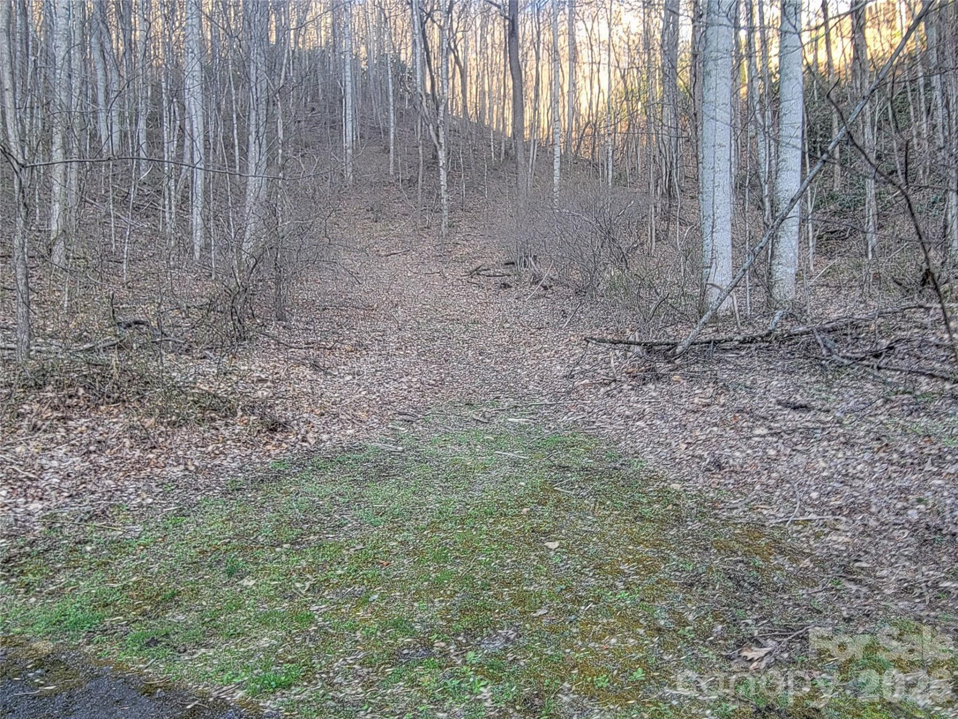 00 Rosewood Lane #11 - Photo 10