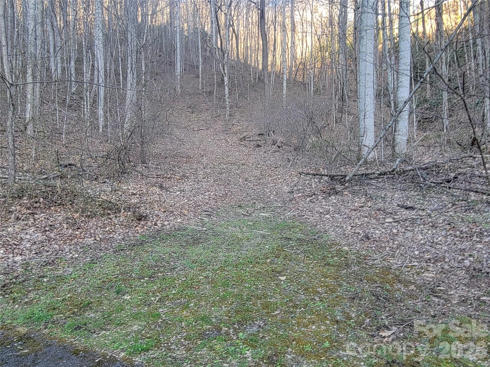 00 Rosewood Lane #11 - Photo 10
