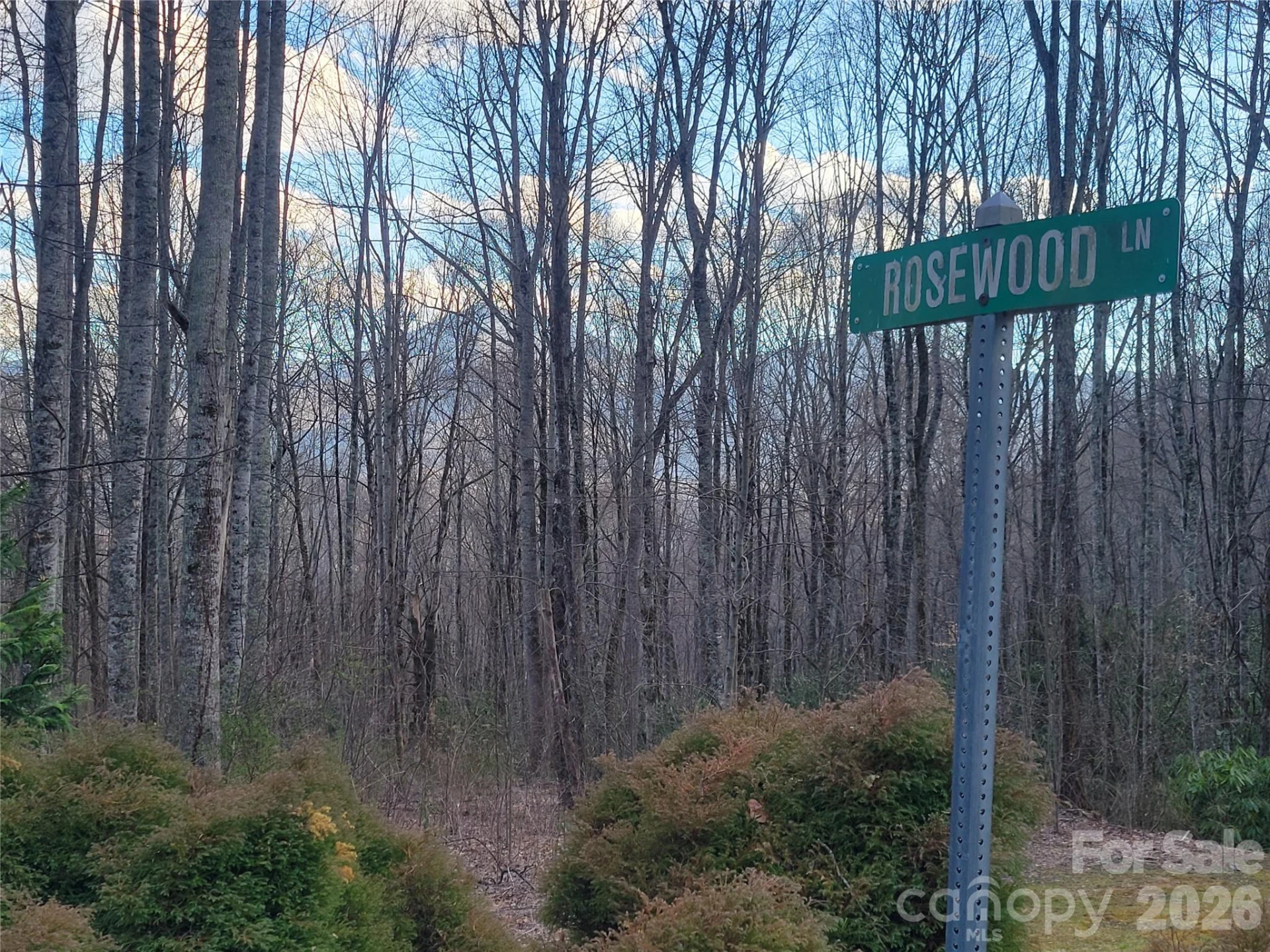 00 Rosewood Lane #12 - Photo 6