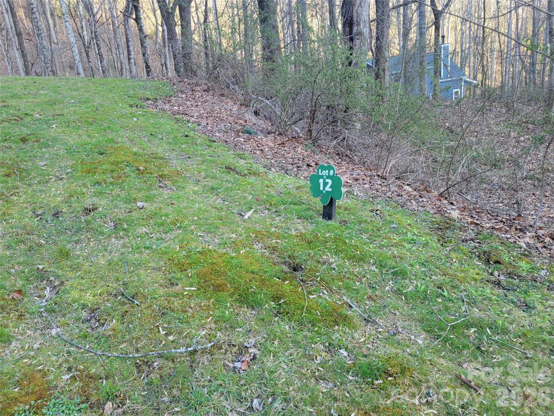 00 Rosewood Lane #12 - Photo 7