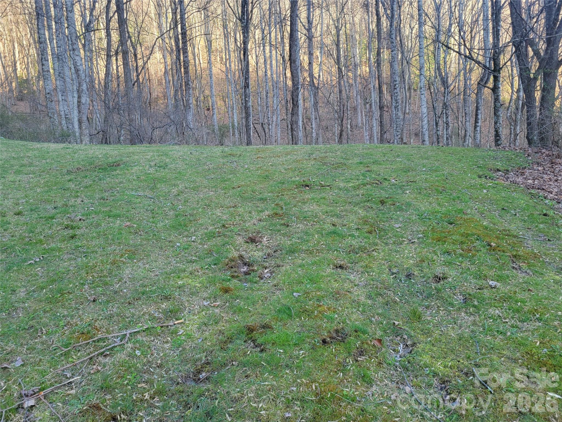 00 Rosewood Lane #12 - Photo 8