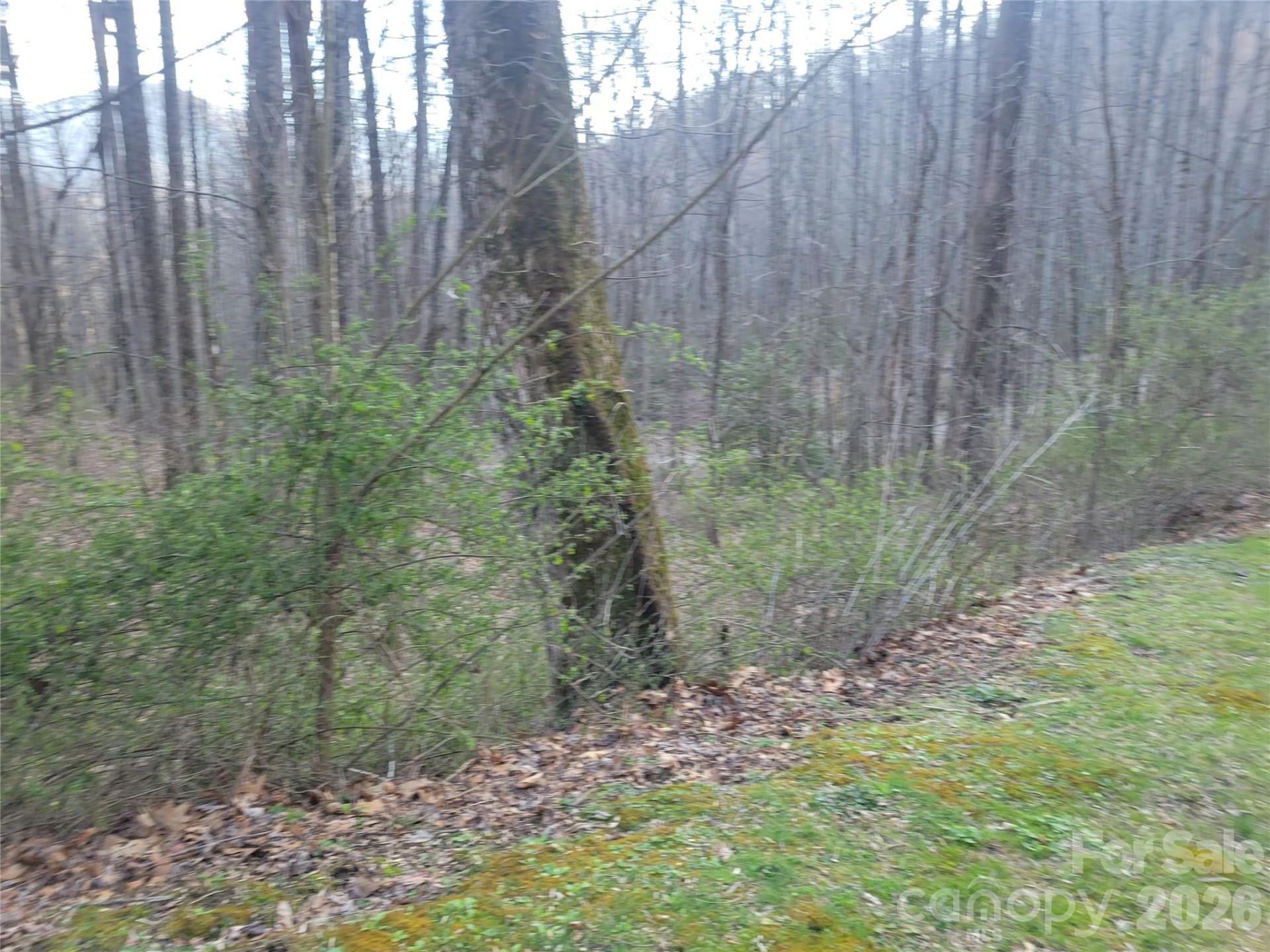 00 Rosewood Lane #12 - Photo 9