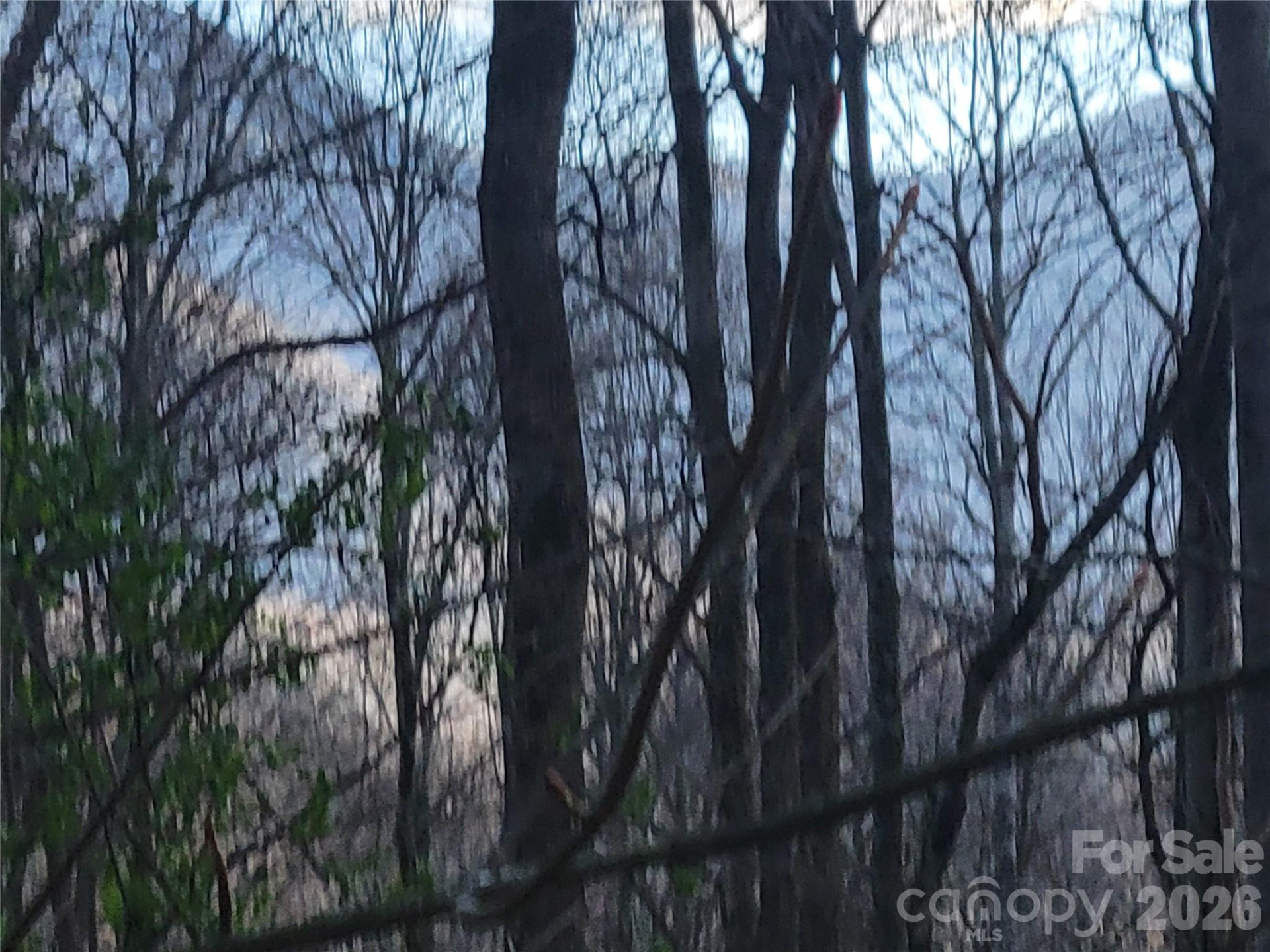 00 Rosewood Lane #12 - Photo 10