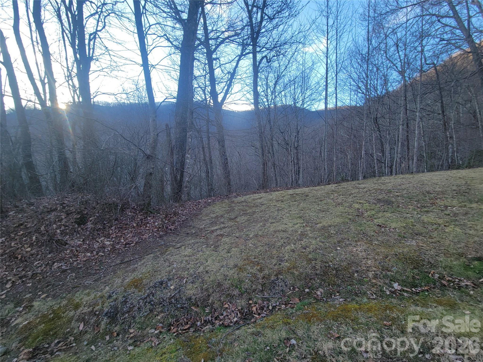 00 Covecrest Drive #13 - Photo 12