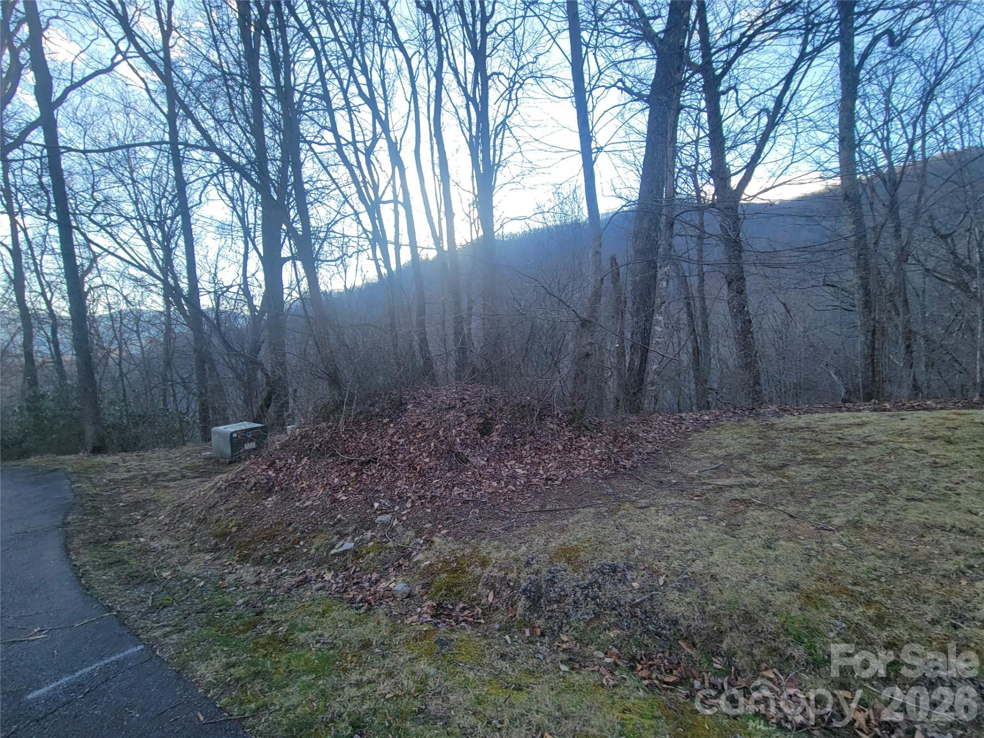 00 Covecrest Drive #13 - Photo 13