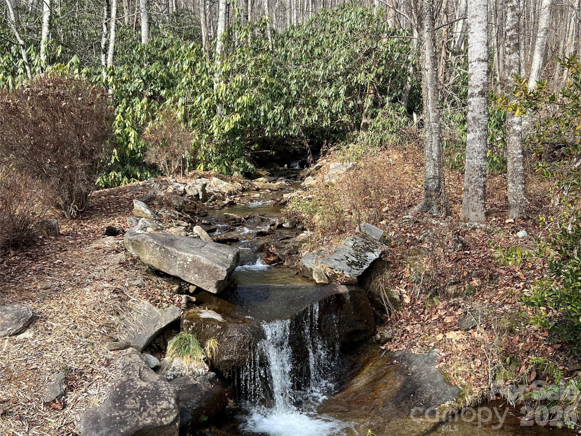 00 Covecrest Drive #13 - Photo 4