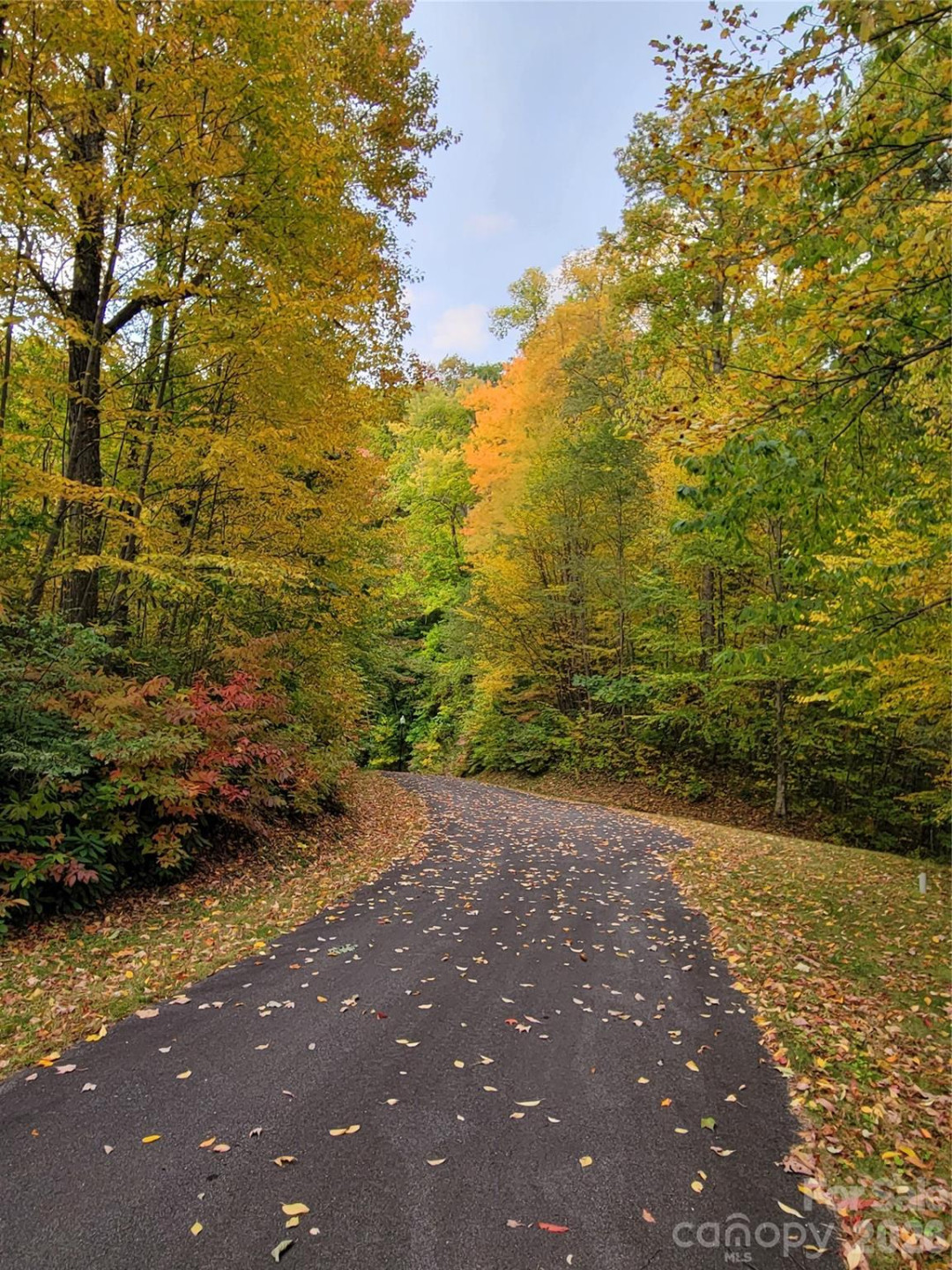 00 Covecrest Drive #13 - Photo 5